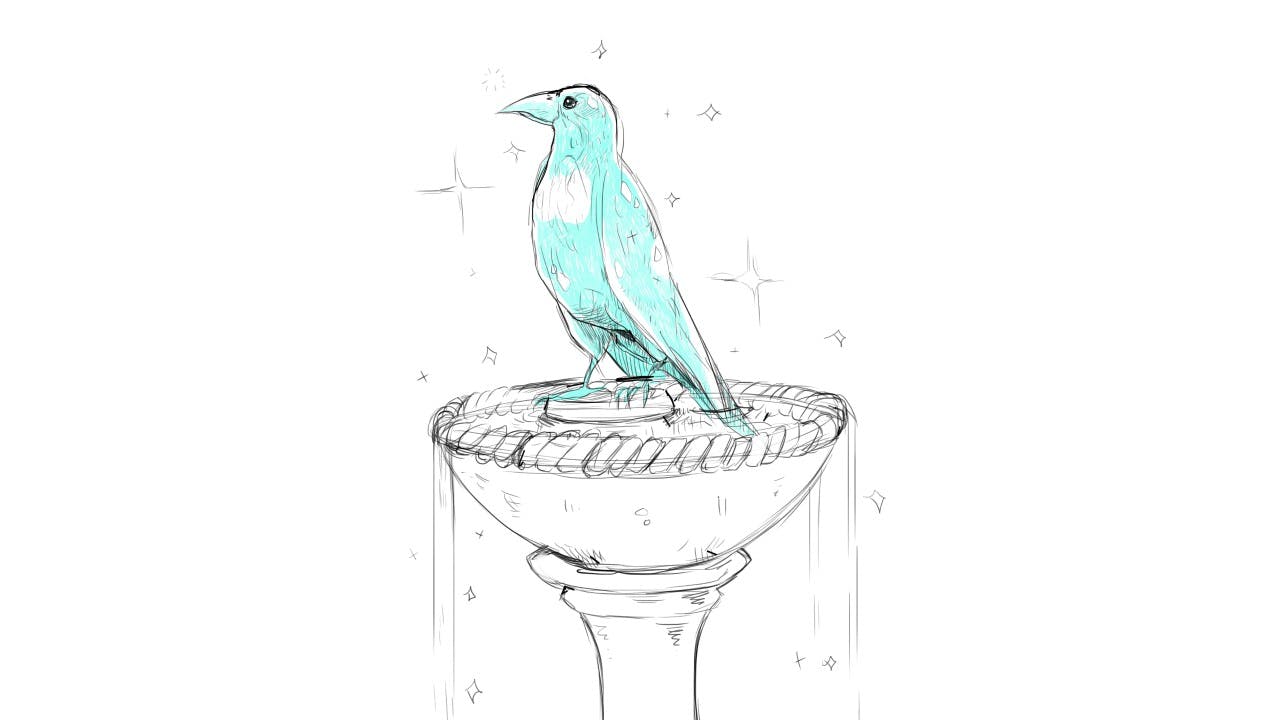 user avatar image for teamlads100