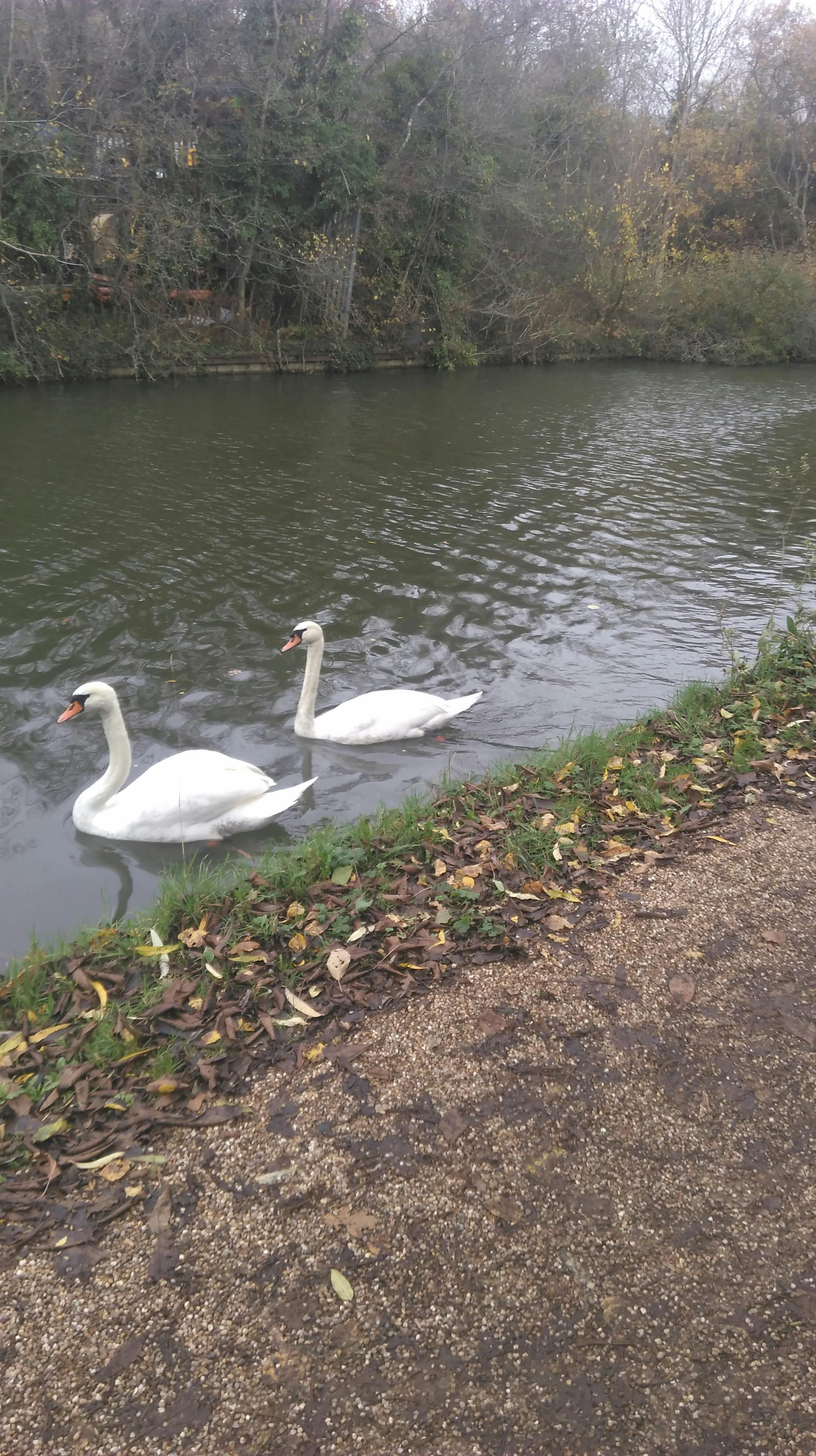 user avatar image for JLLondon2099