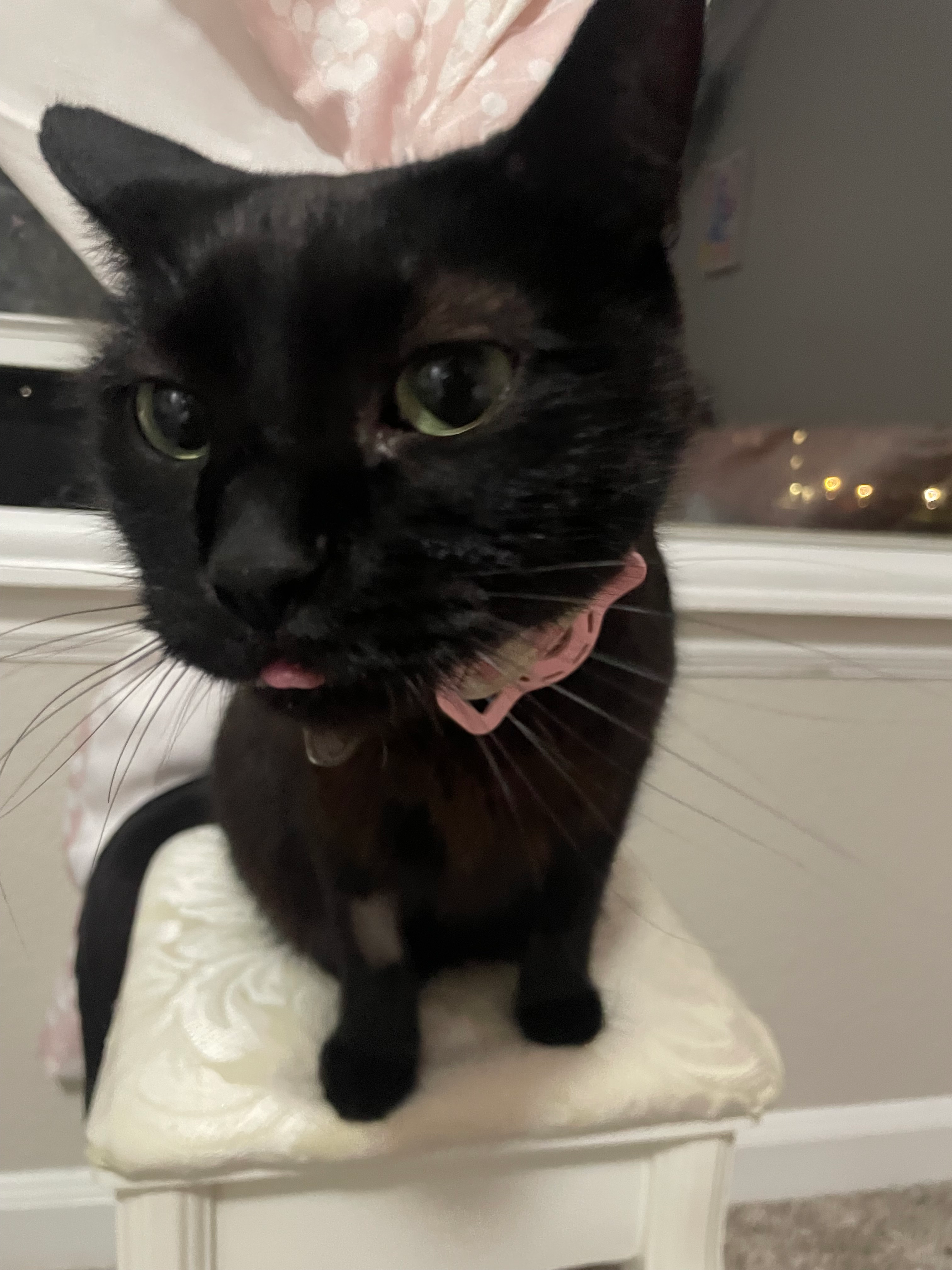 user avatar image for Hales