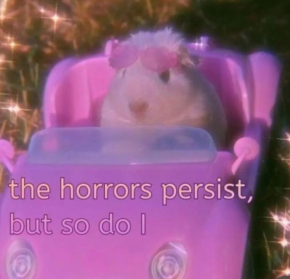 user avatar image for LC Moffitt