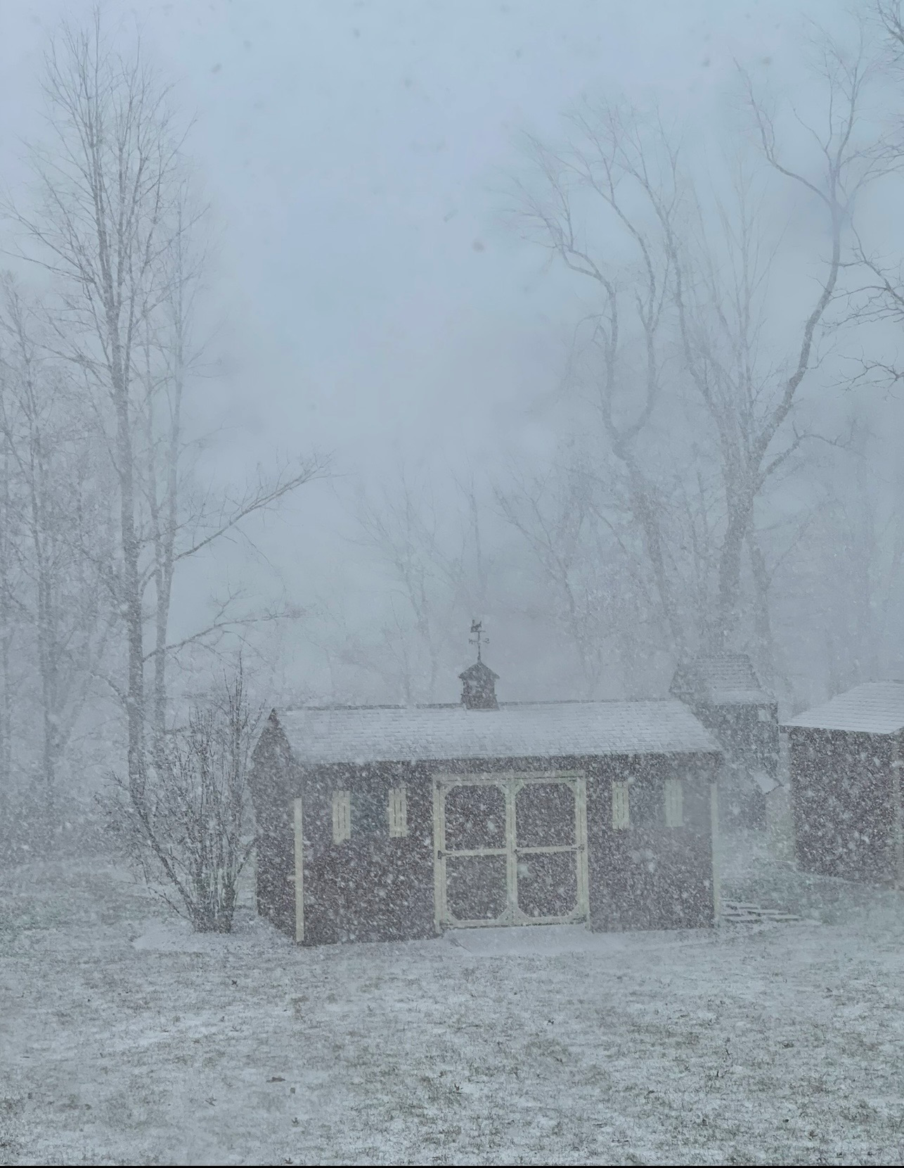 user avatar image for TS