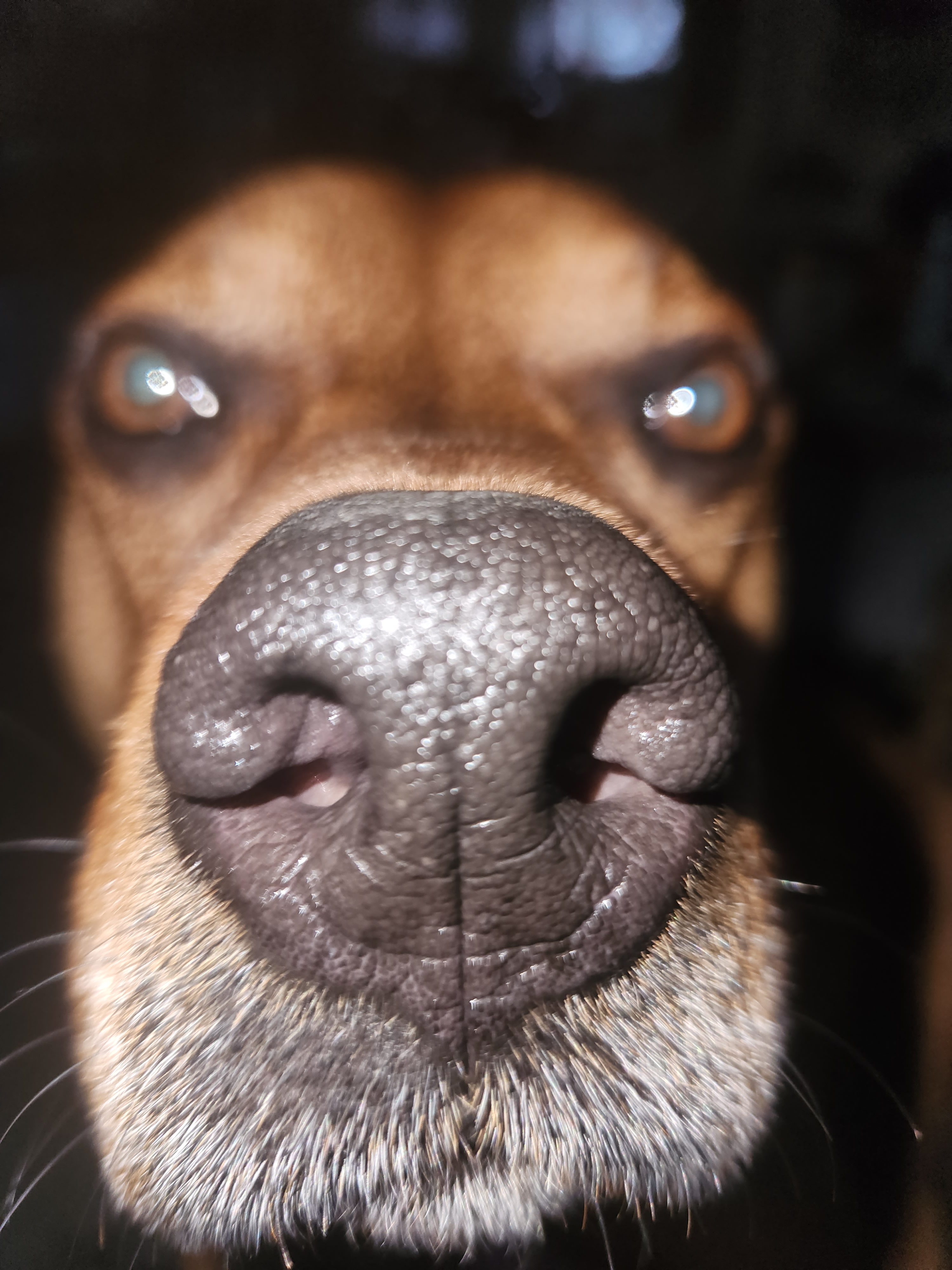 user avatar image for Brandon S Reynolds