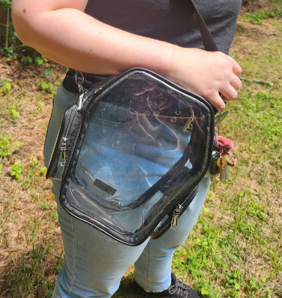 In Stock Clear Coffin Concert Bag