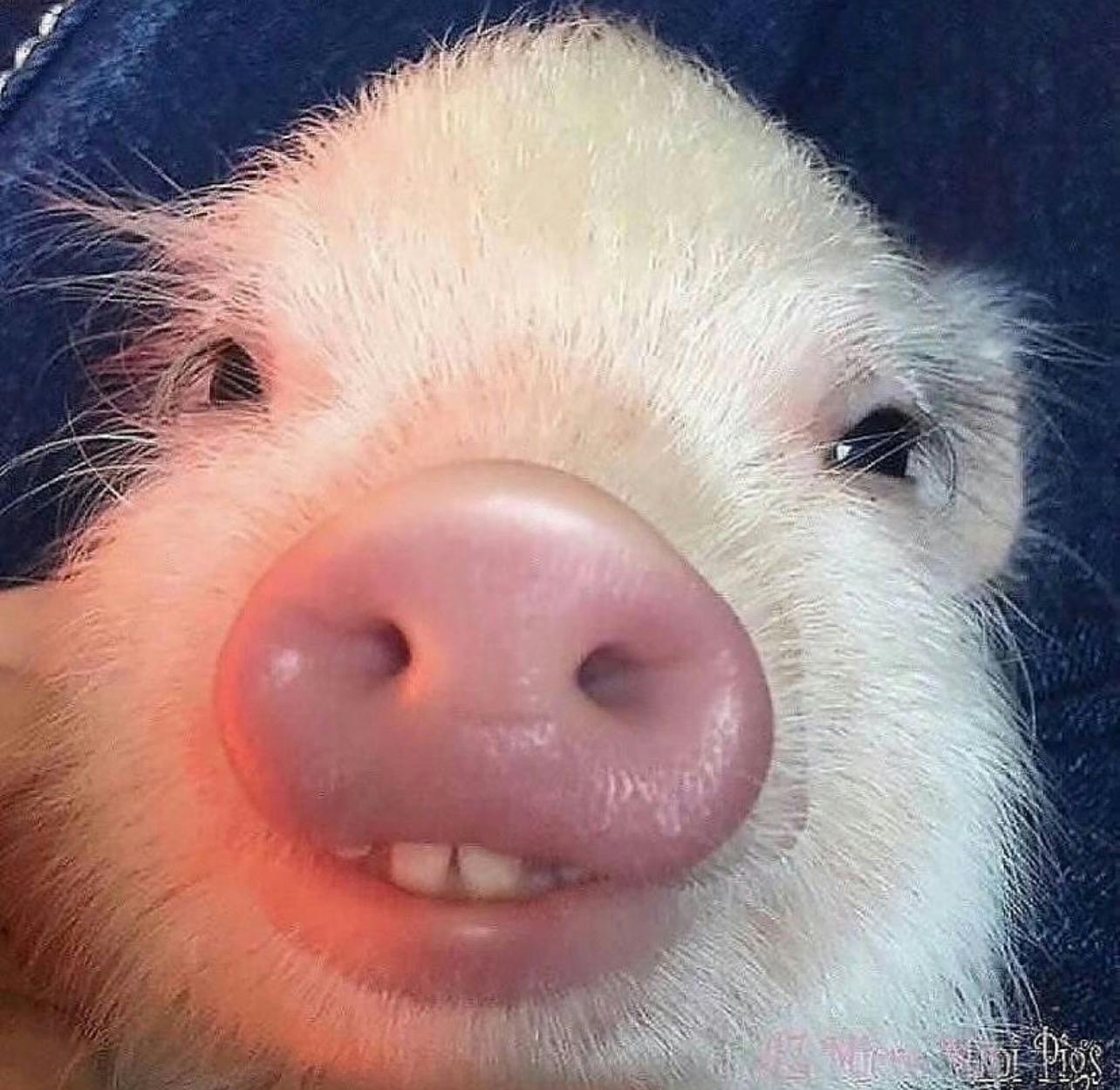 user avatar image for Caleb corona 