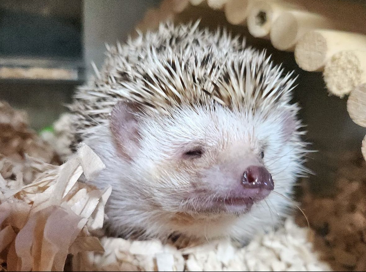 user avatar image for Joseph D.