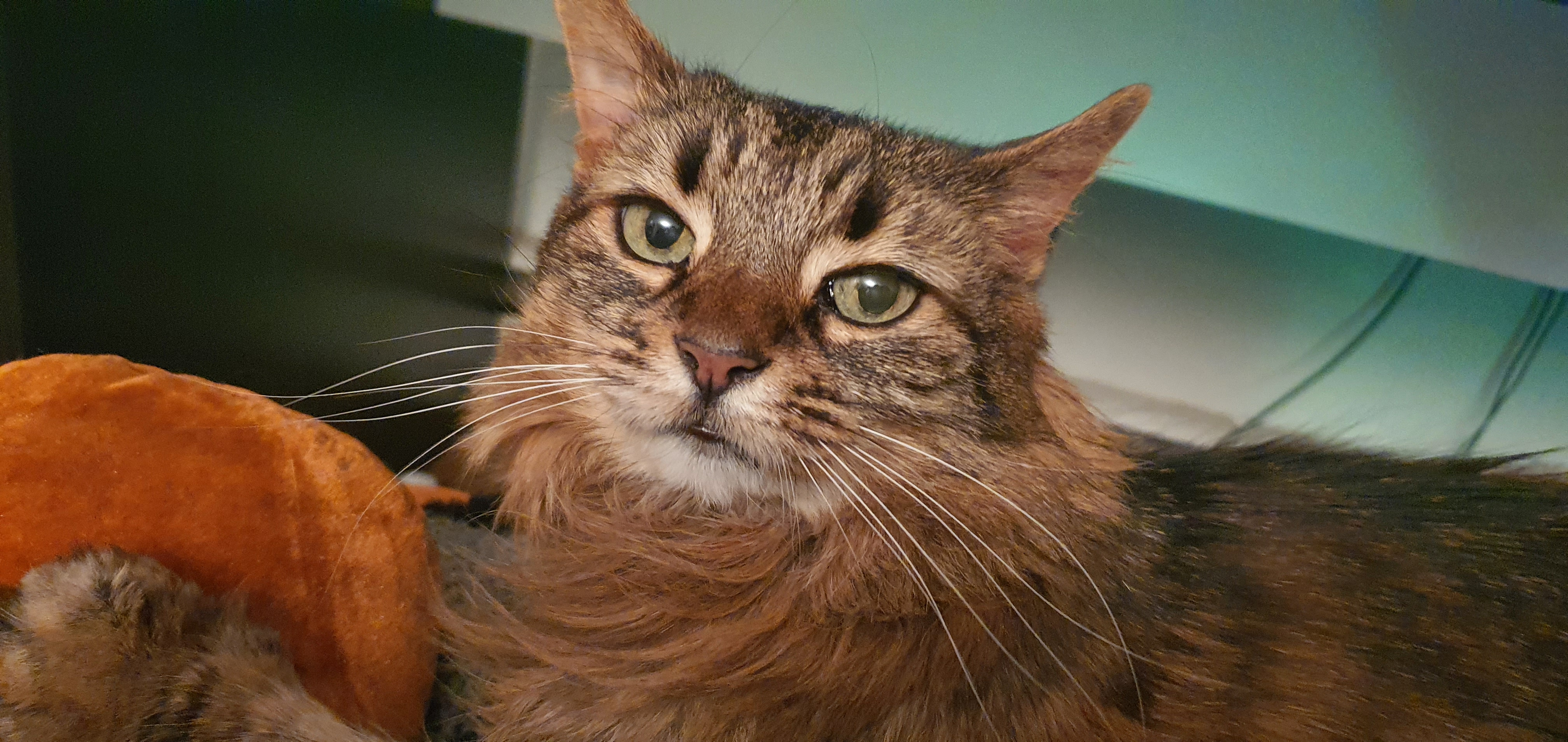 user avatar image for Jonathan Papp