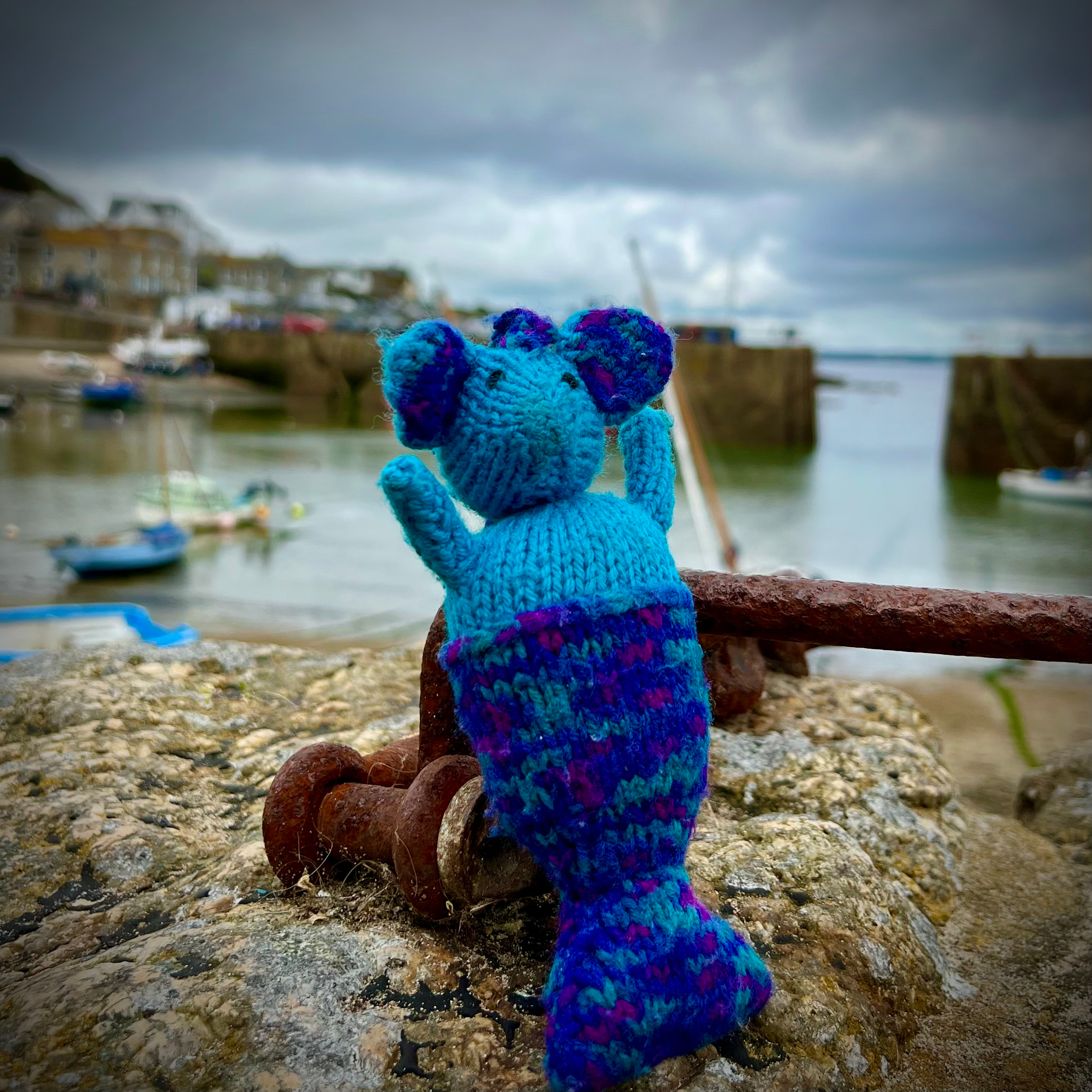 user avatar image for Barefoot Selkie