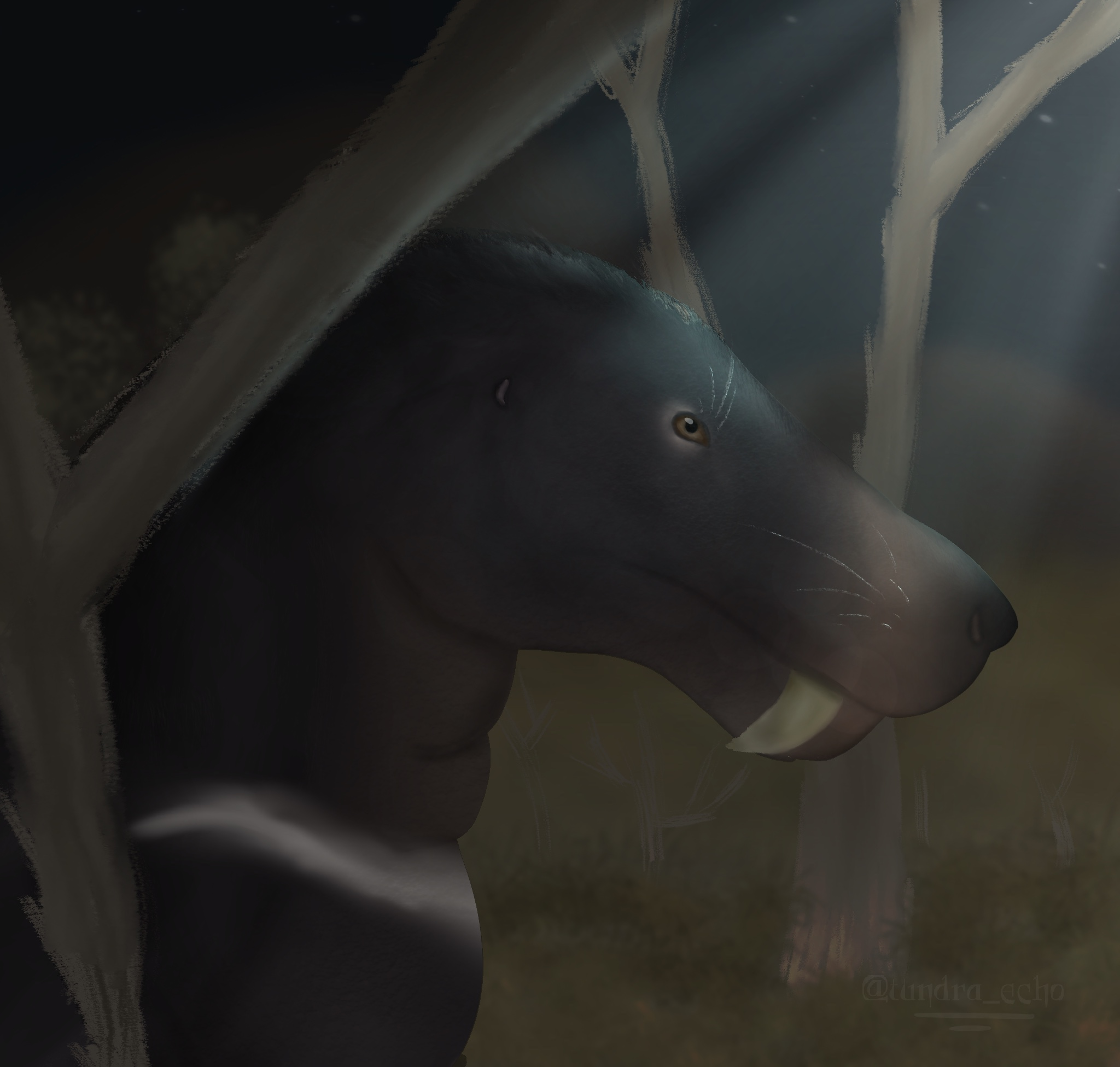 user avatar image for Tundra