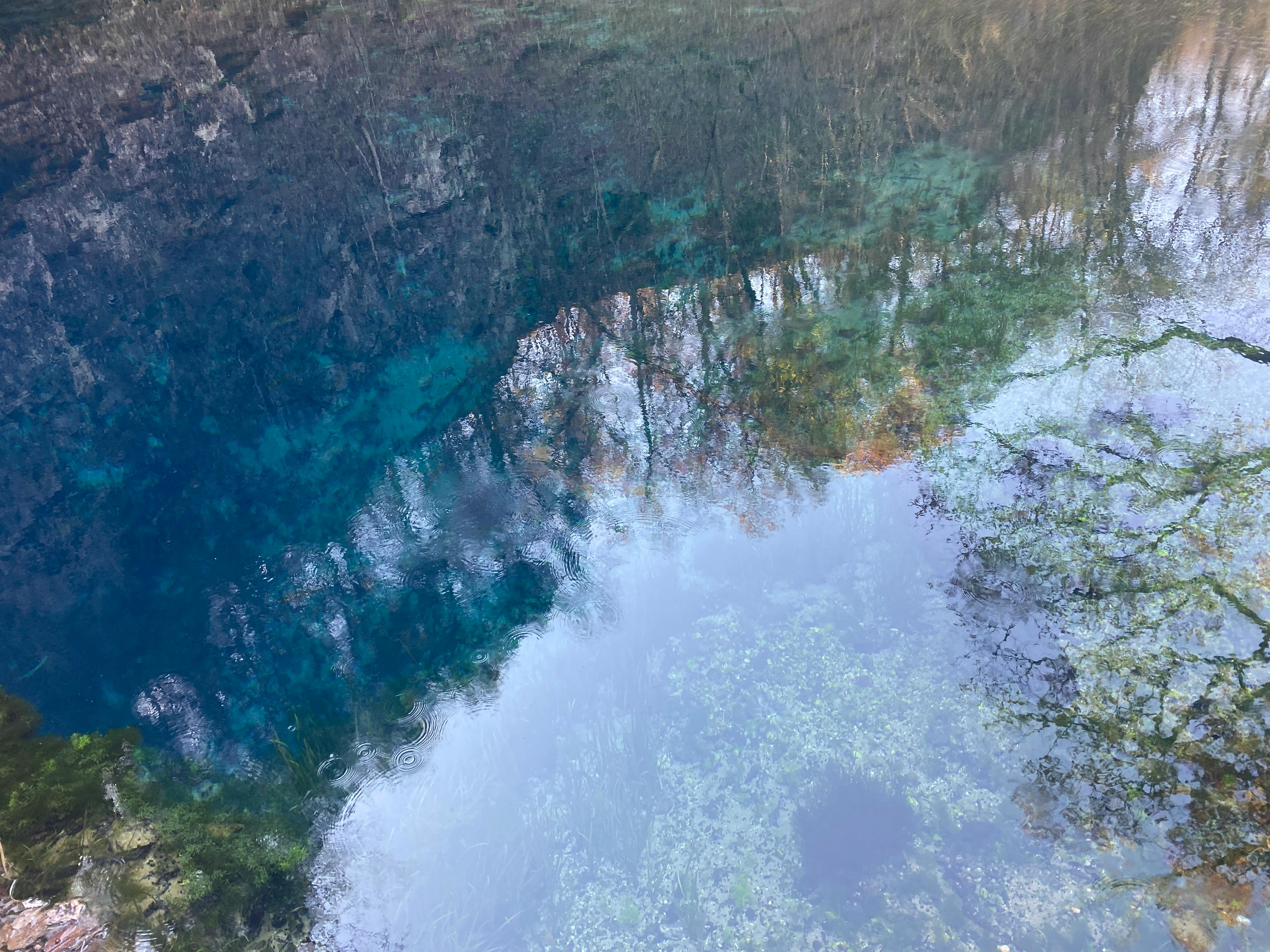 user avatar image for WildernessWhispers