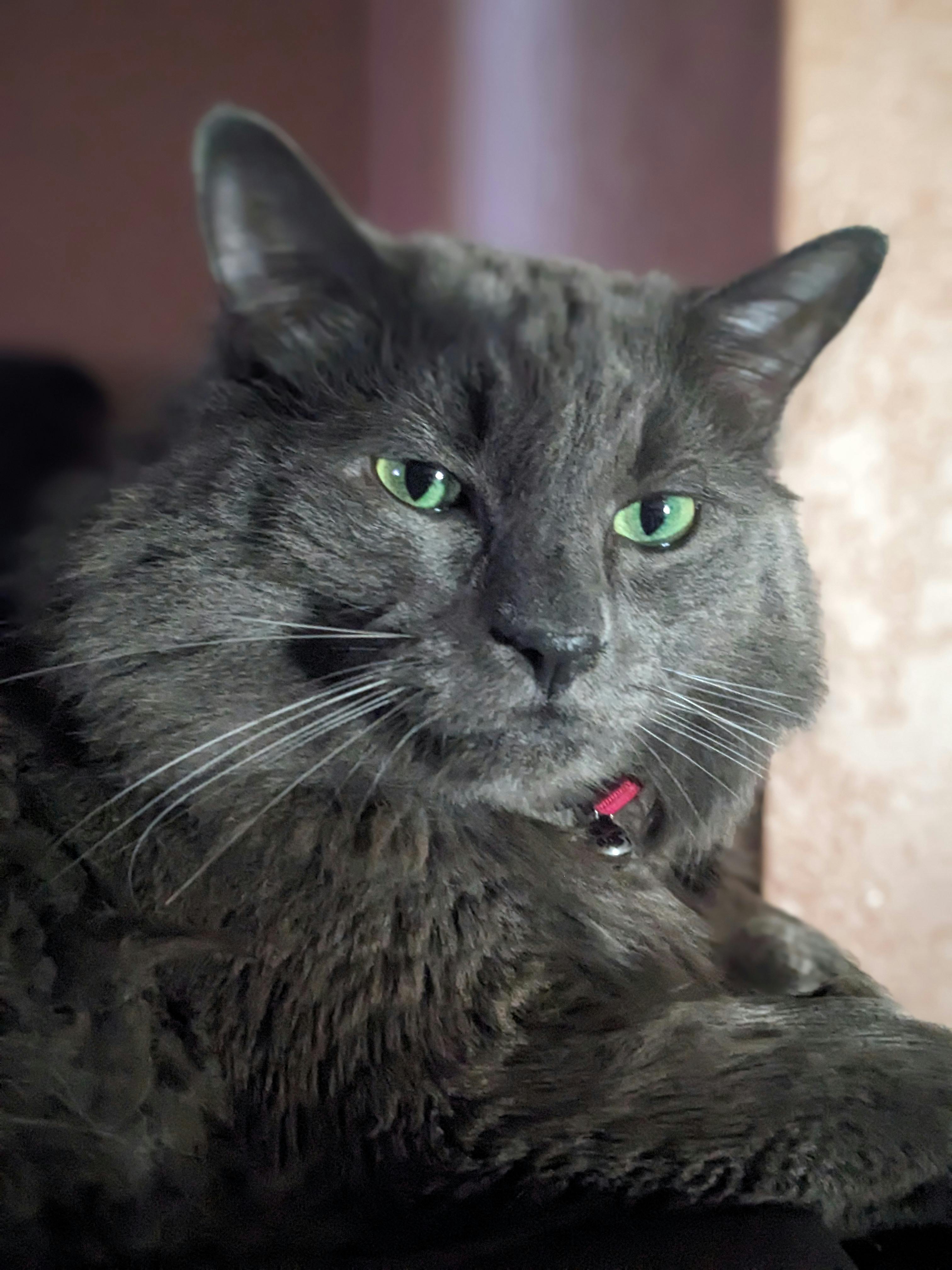 user avatar image for Alex Rodriguez