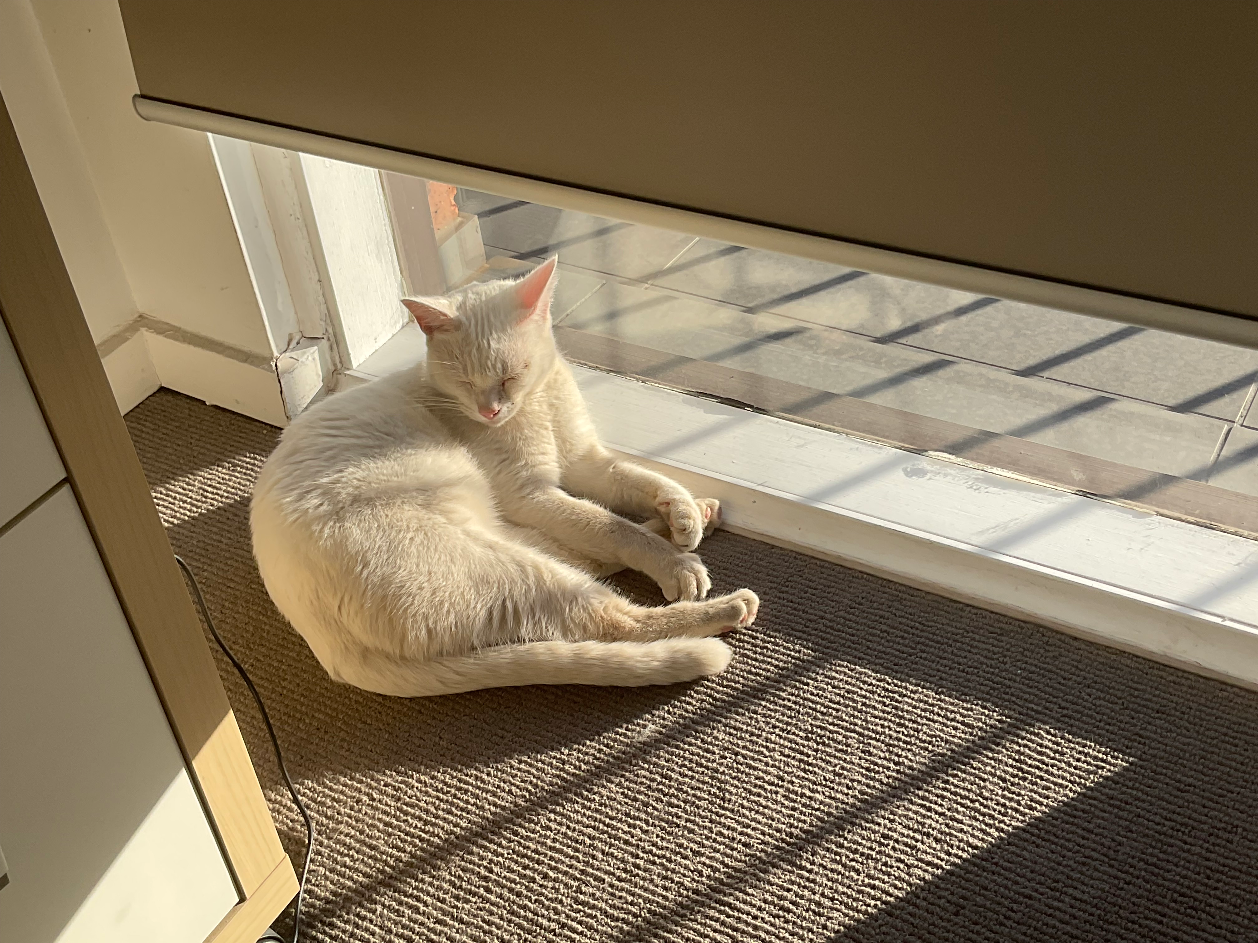 user avatar image for Ben Morrell