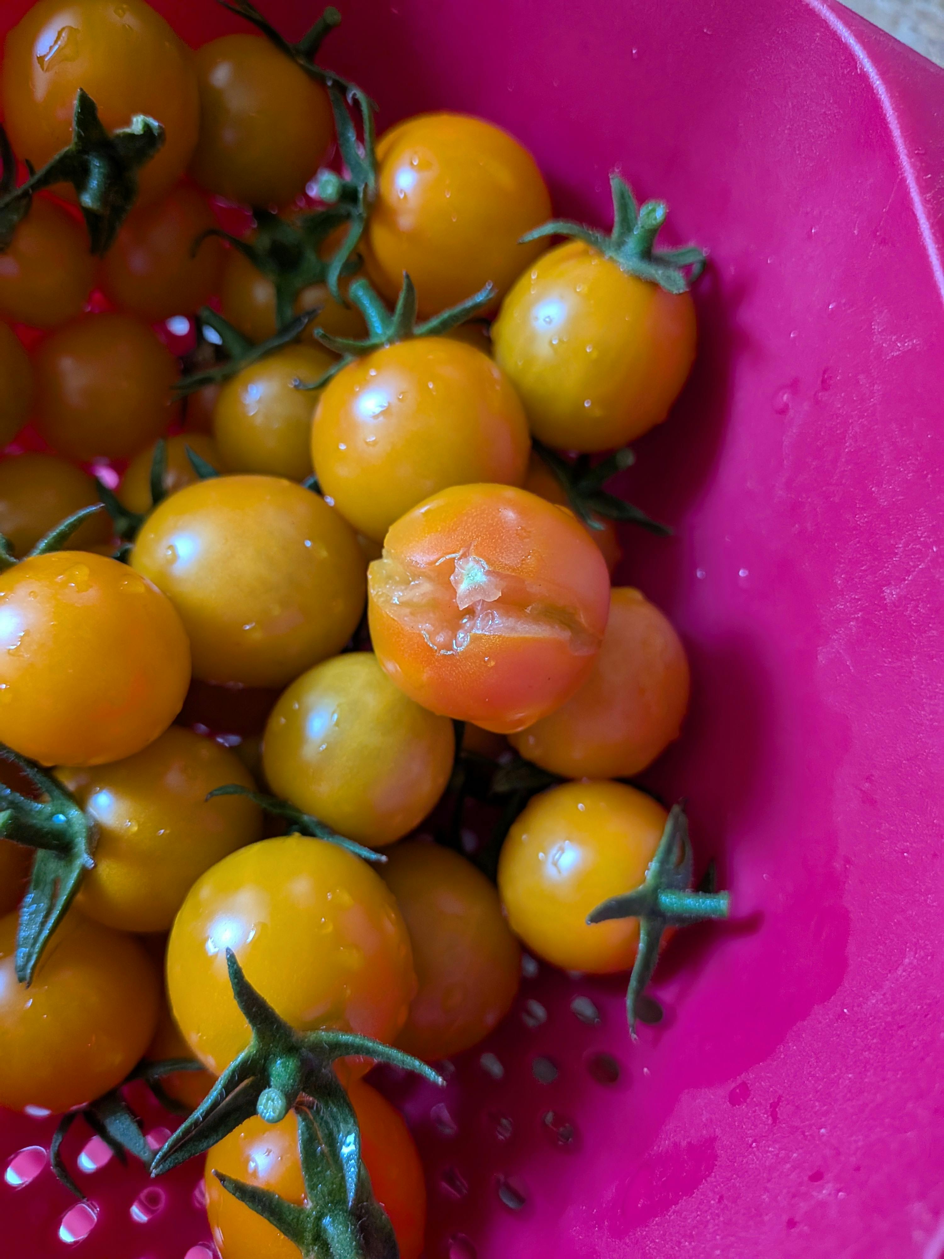 user avatar image for Katharine Clements