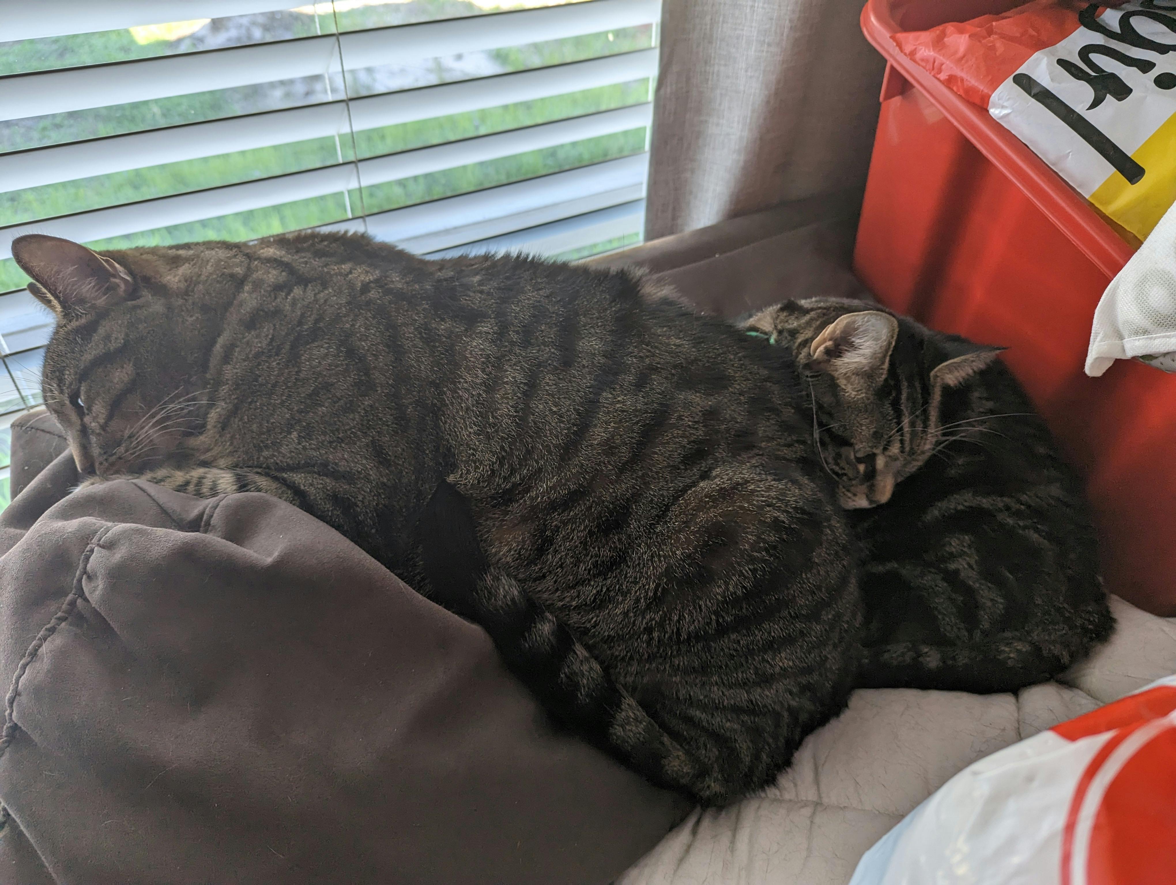 user avatar image for 007190pats