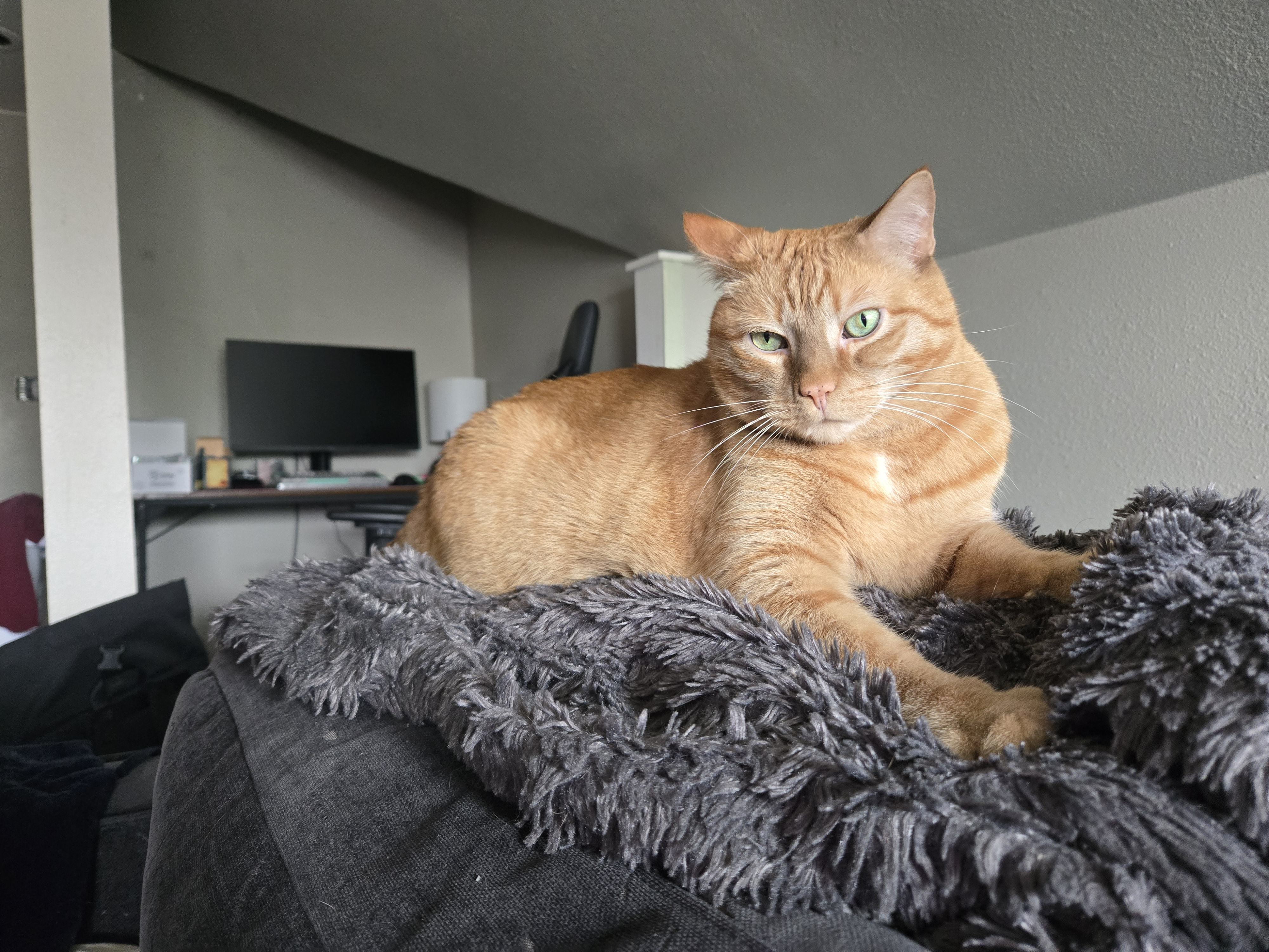 user avatar image for Max 