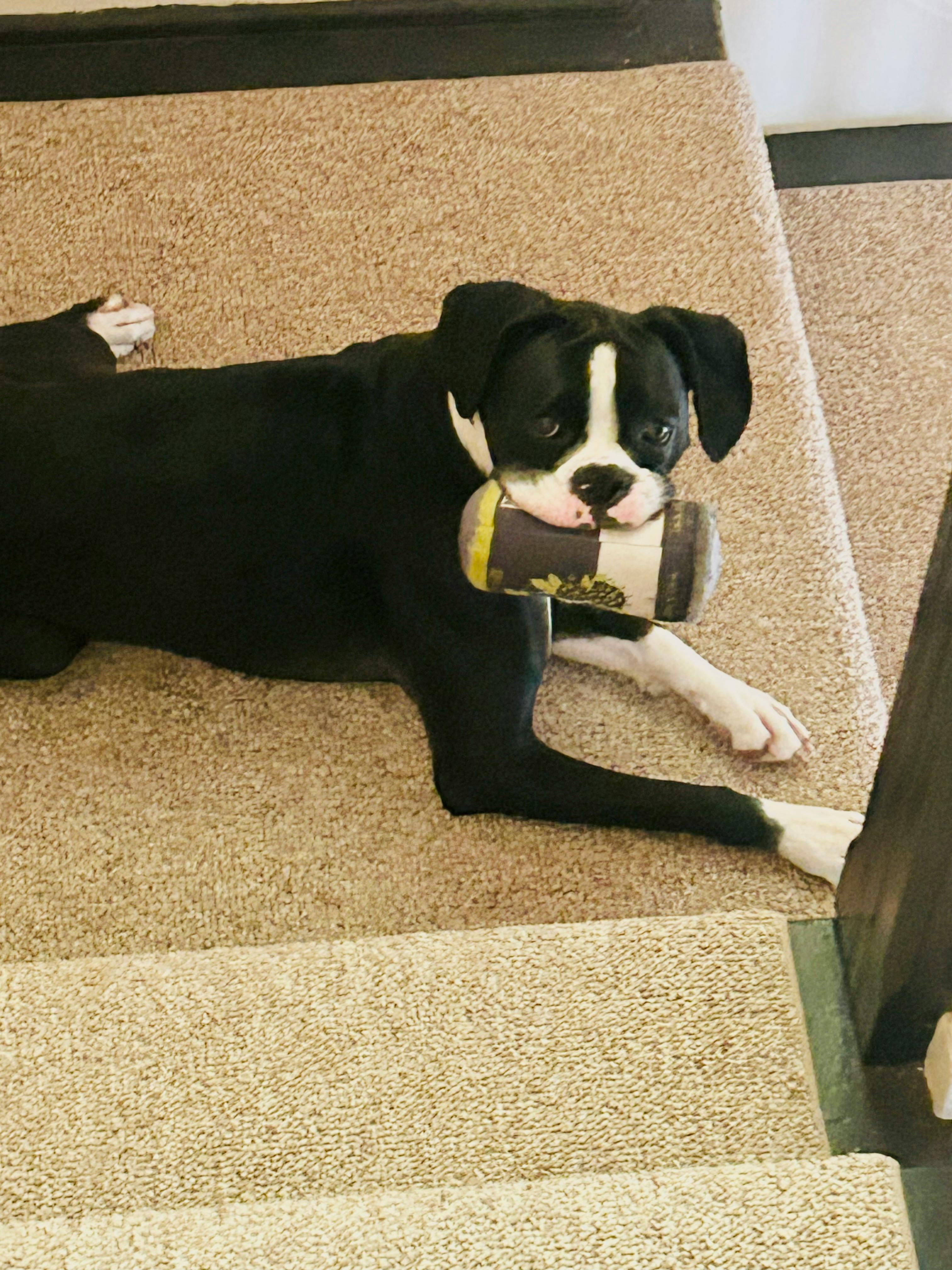 user avatar image for Sky