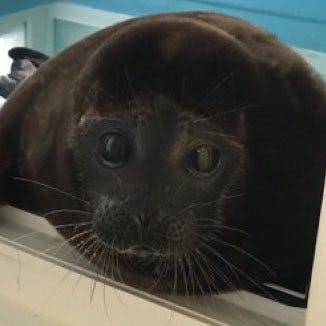 user avatar image for vance.trance