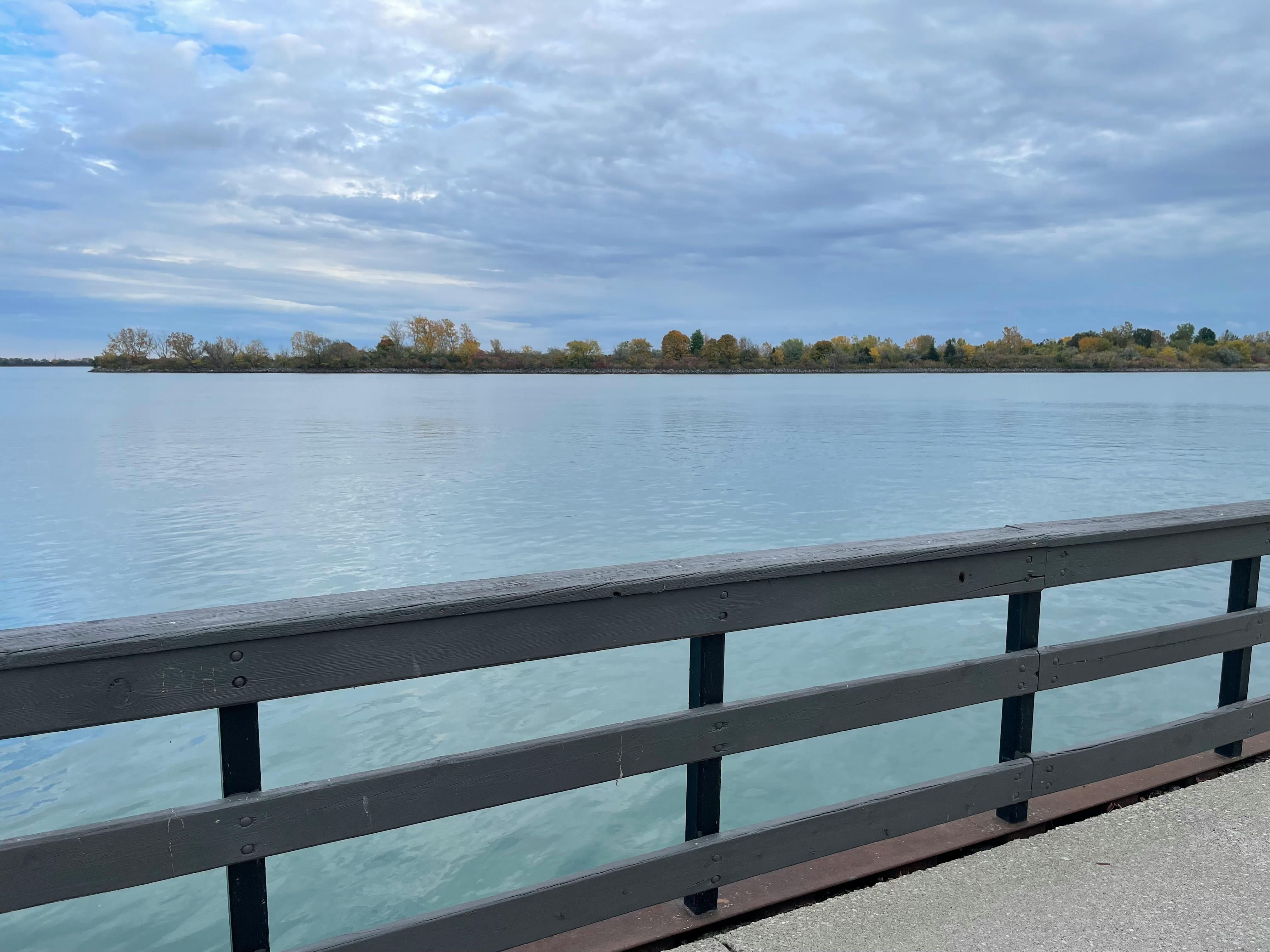 user avatar image for Laura Cockerill