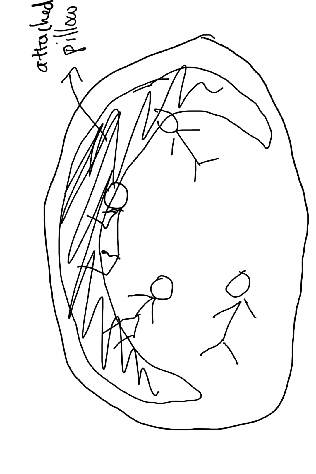 user avatar image for Alvi