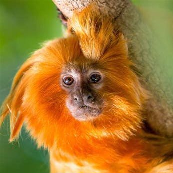 user avatar image for C 