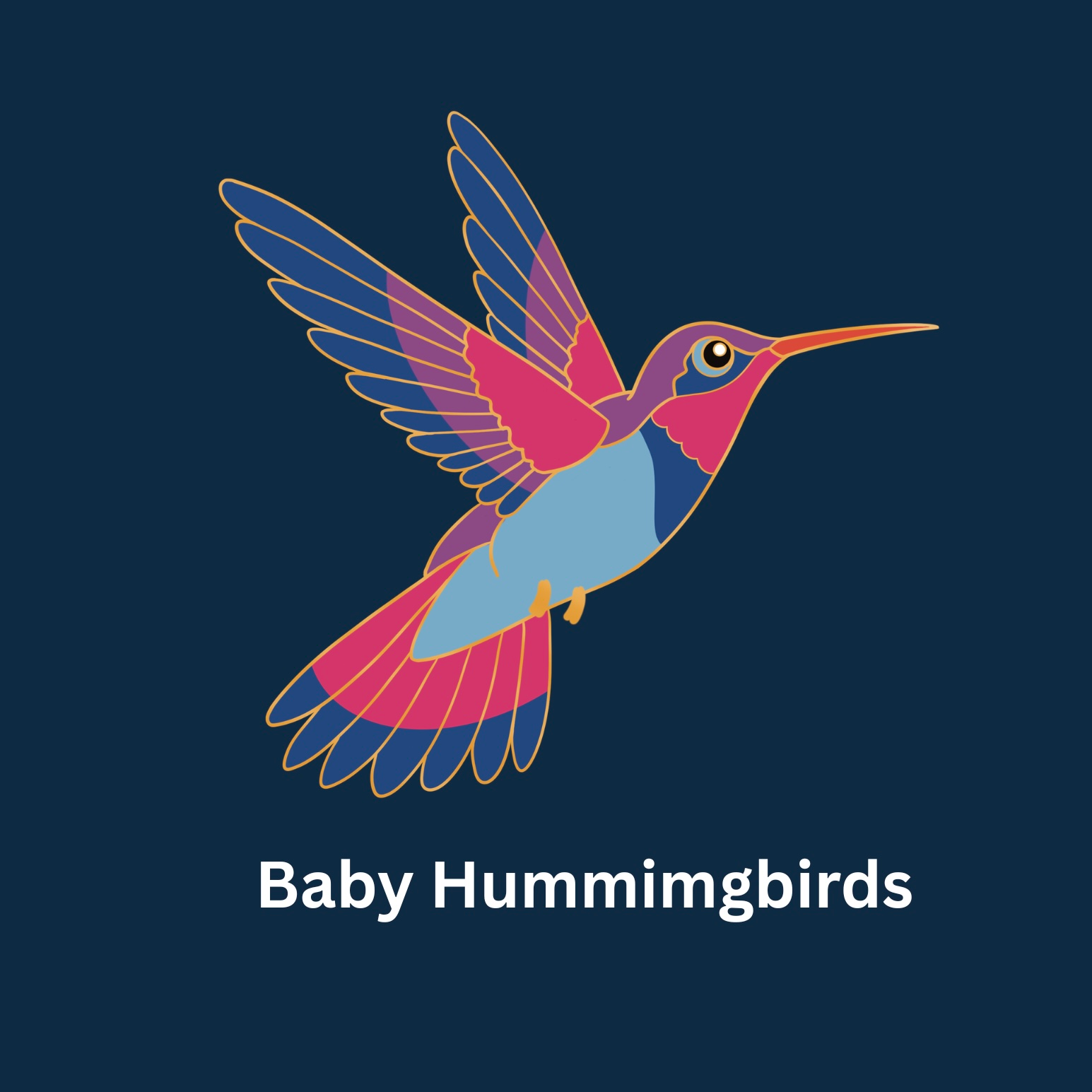 Baby Hummingbirds