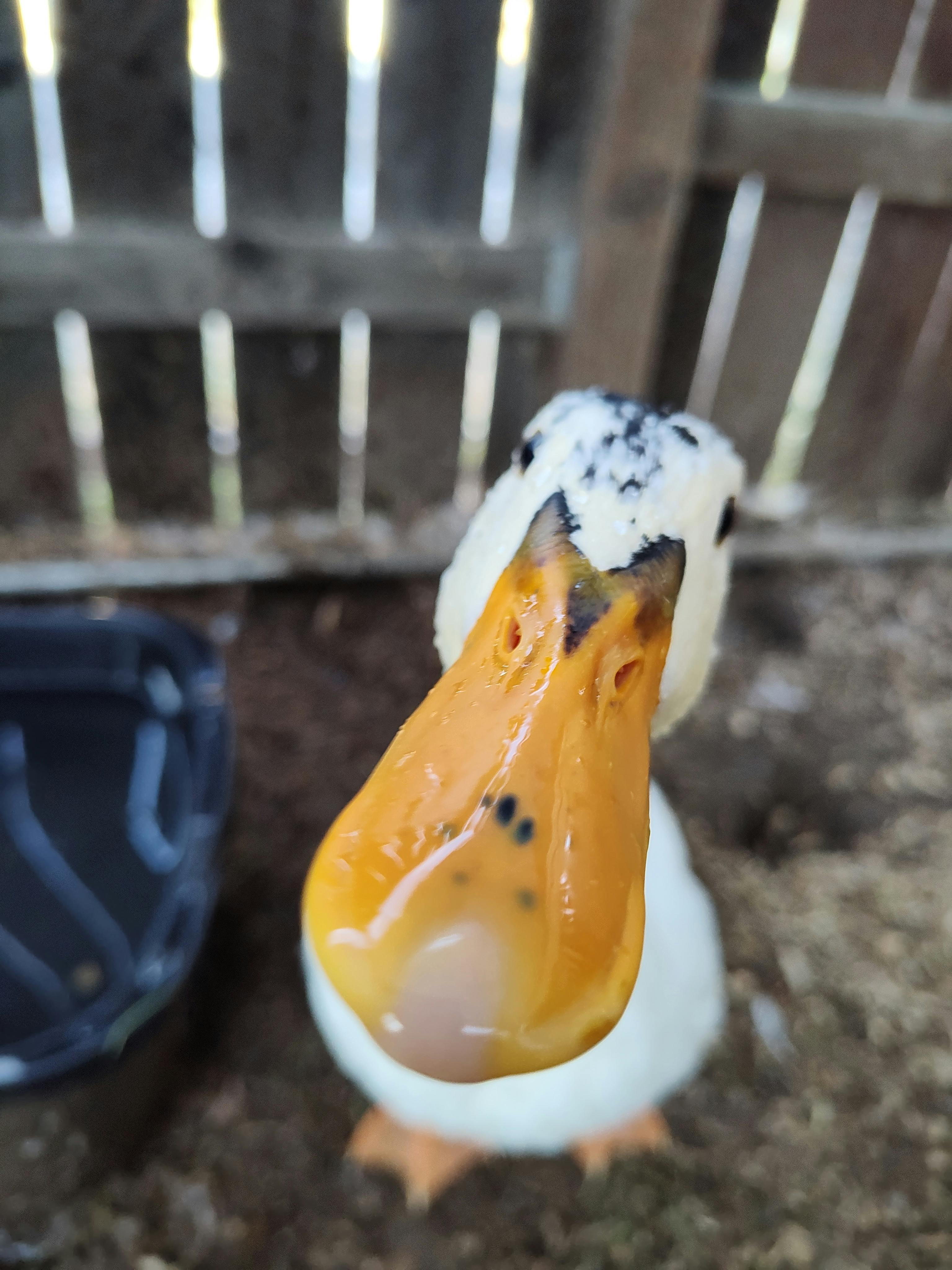 user avatar image for Arrow