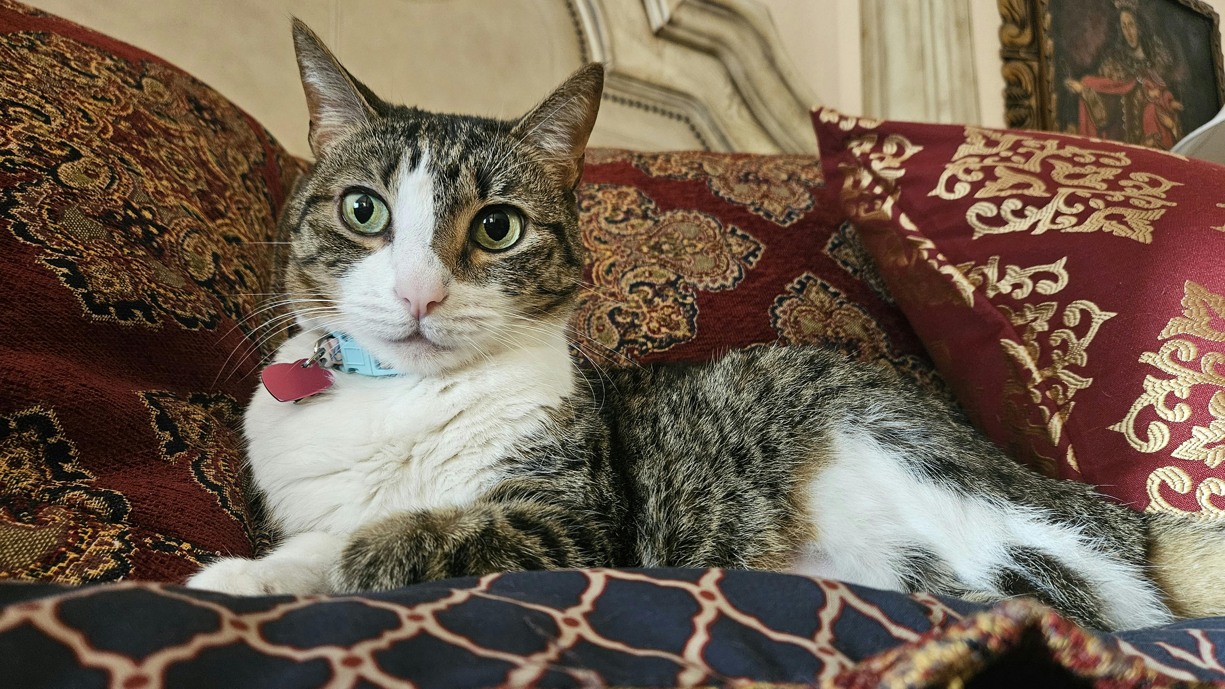 user avatar image for Biabarr