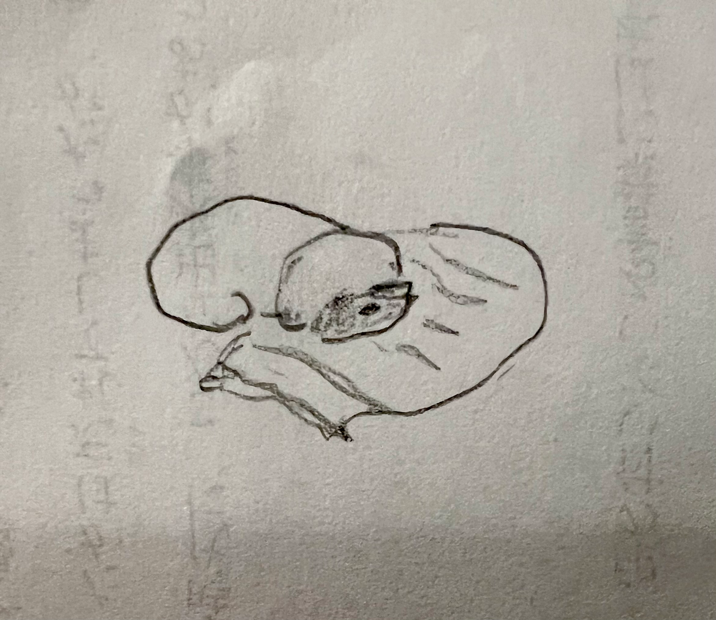 user avatar image for Flowen