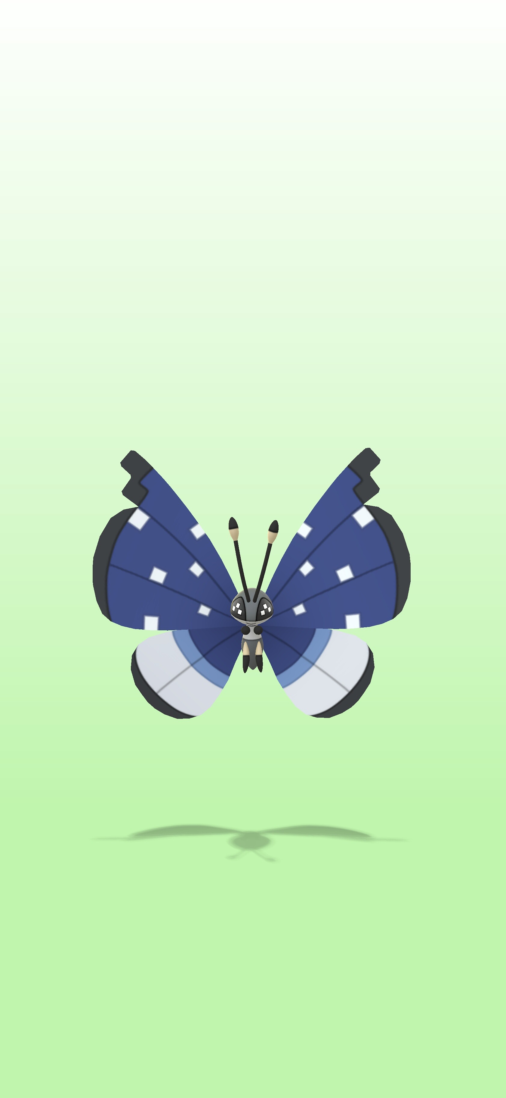 user avatar image for Chelsea R