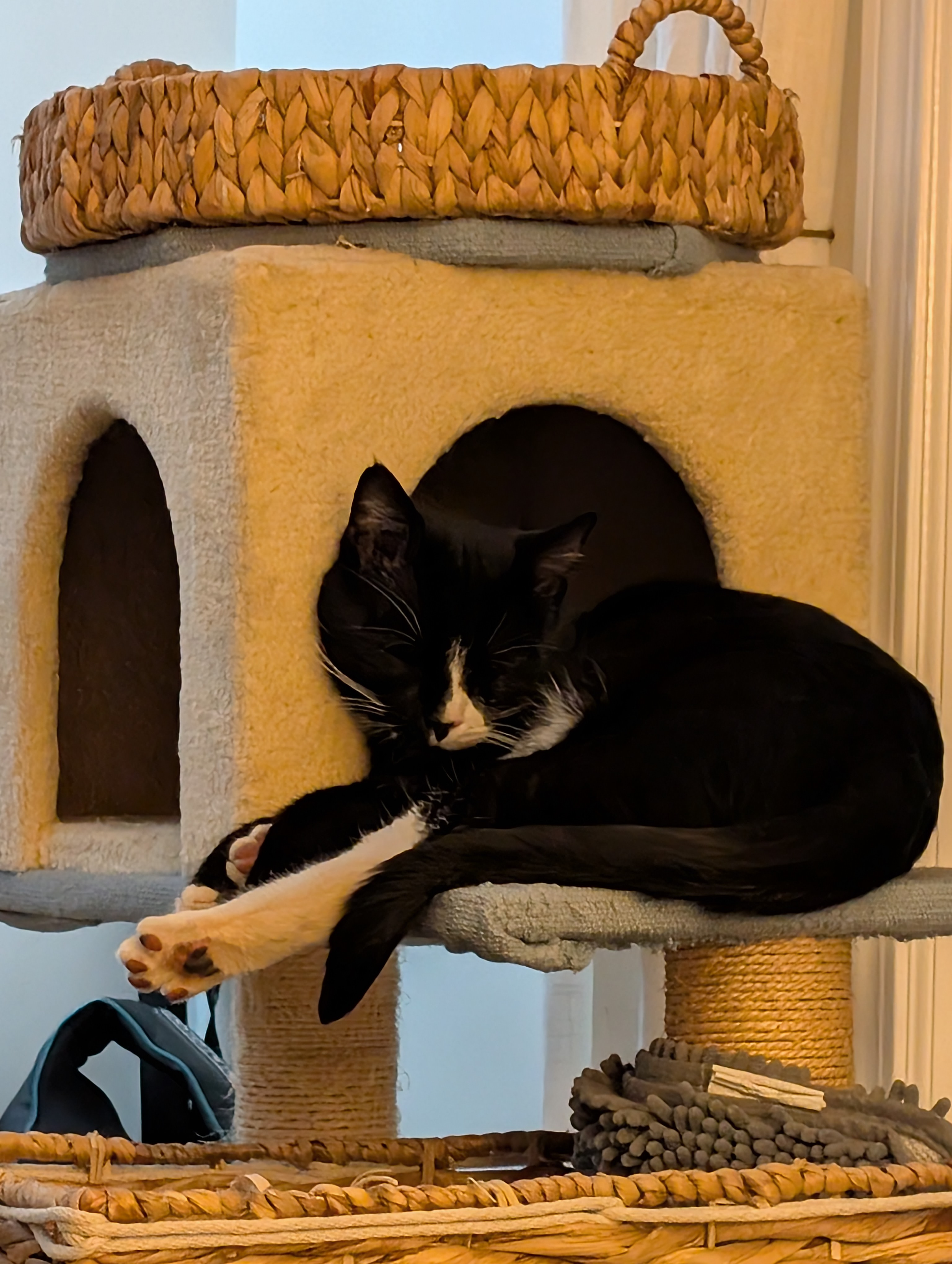 user avatar image for Alex Priore