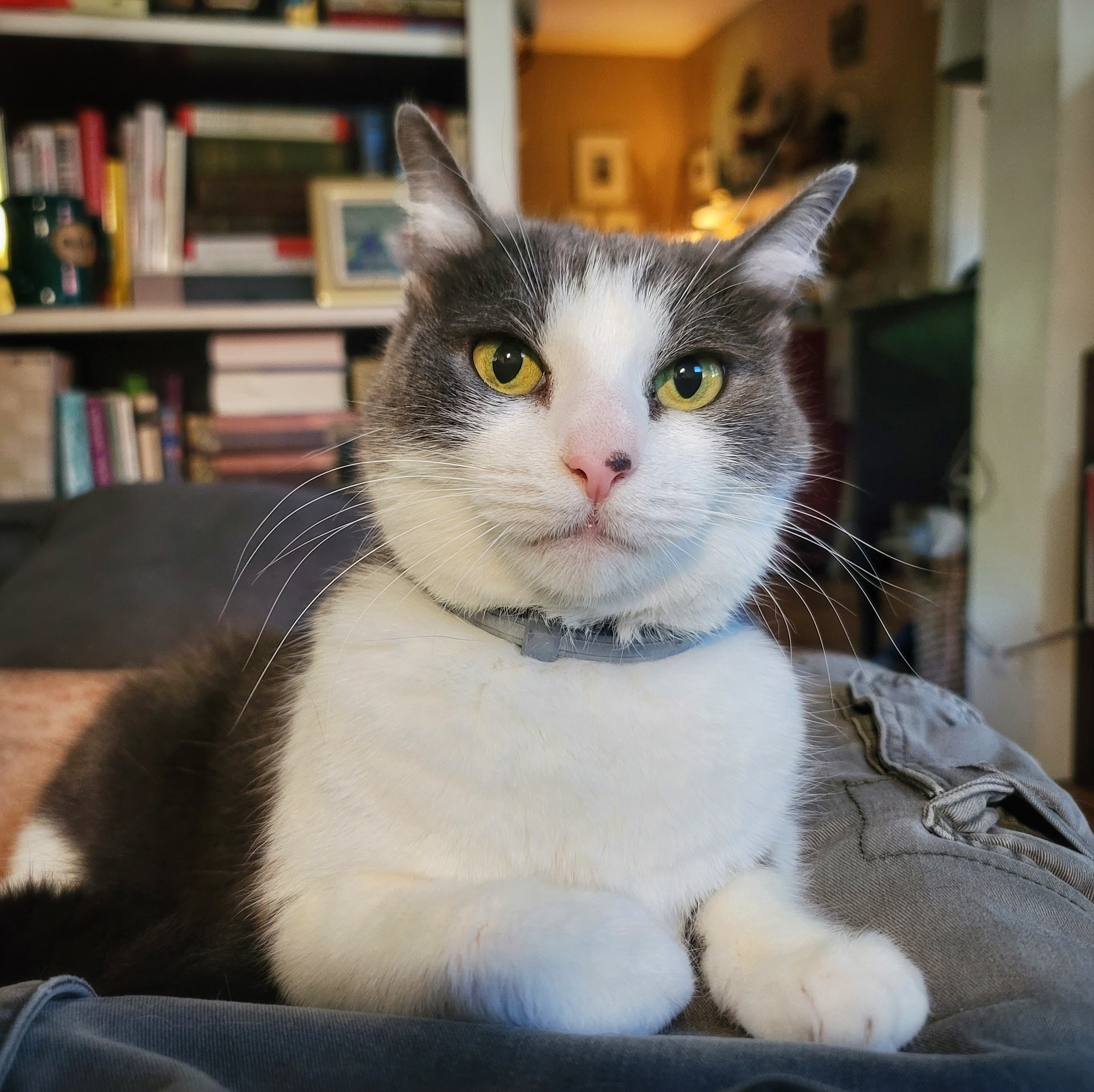 user avatar image for Kevin 