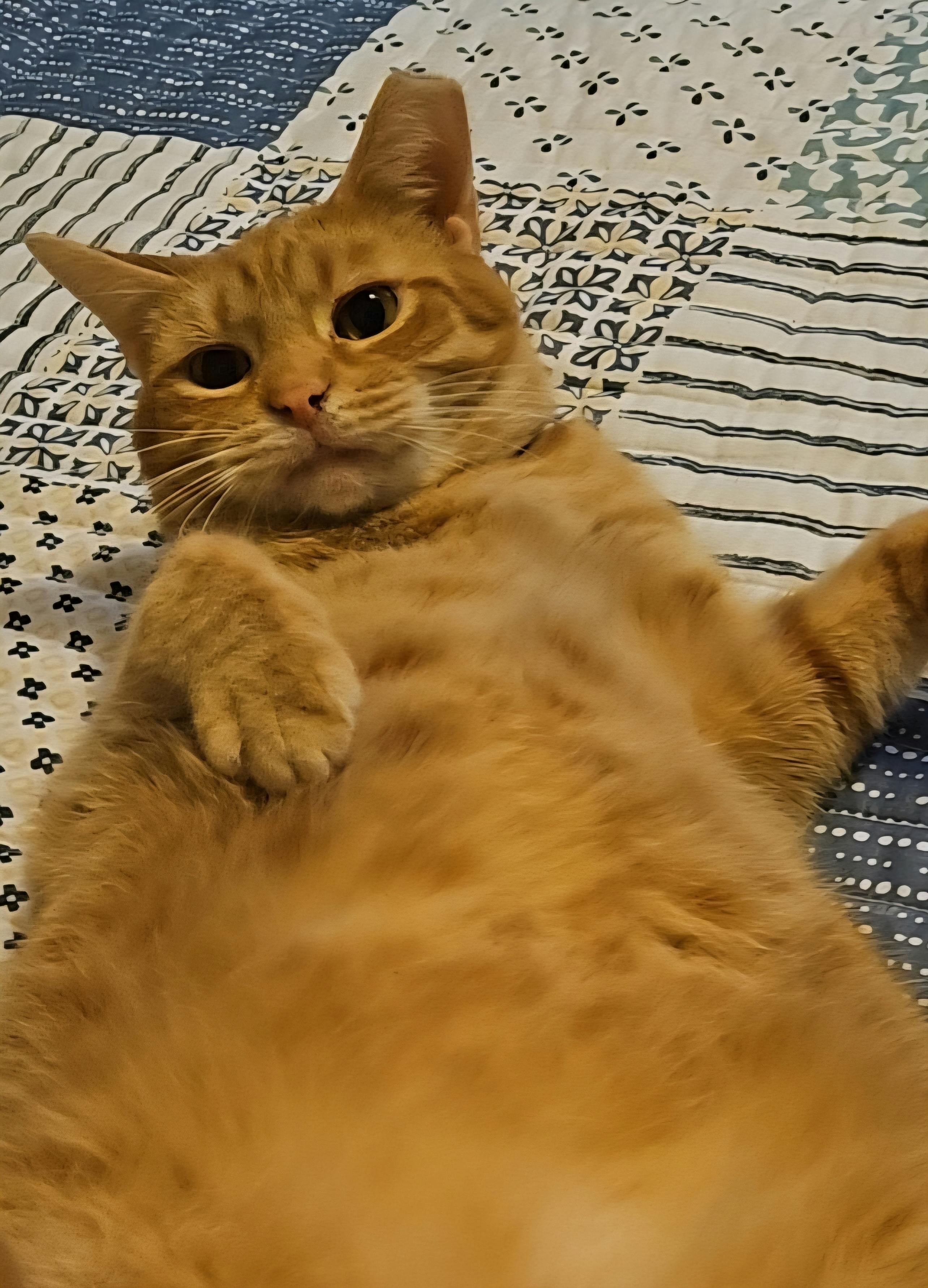 user avatar image for Kayla Rudduck