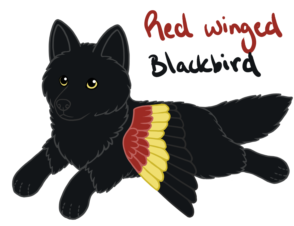 Red Winged Blackbird