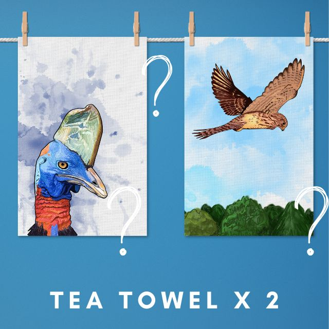2 Tea Towels