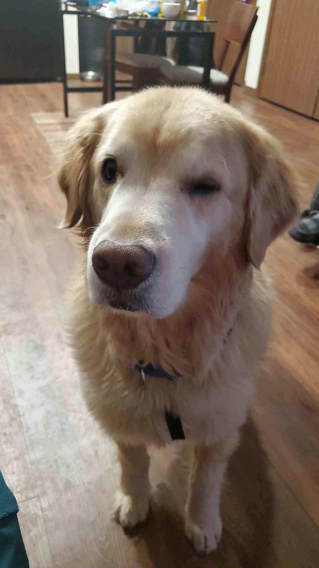 user avatar image for Terrible Tarrasque Tales