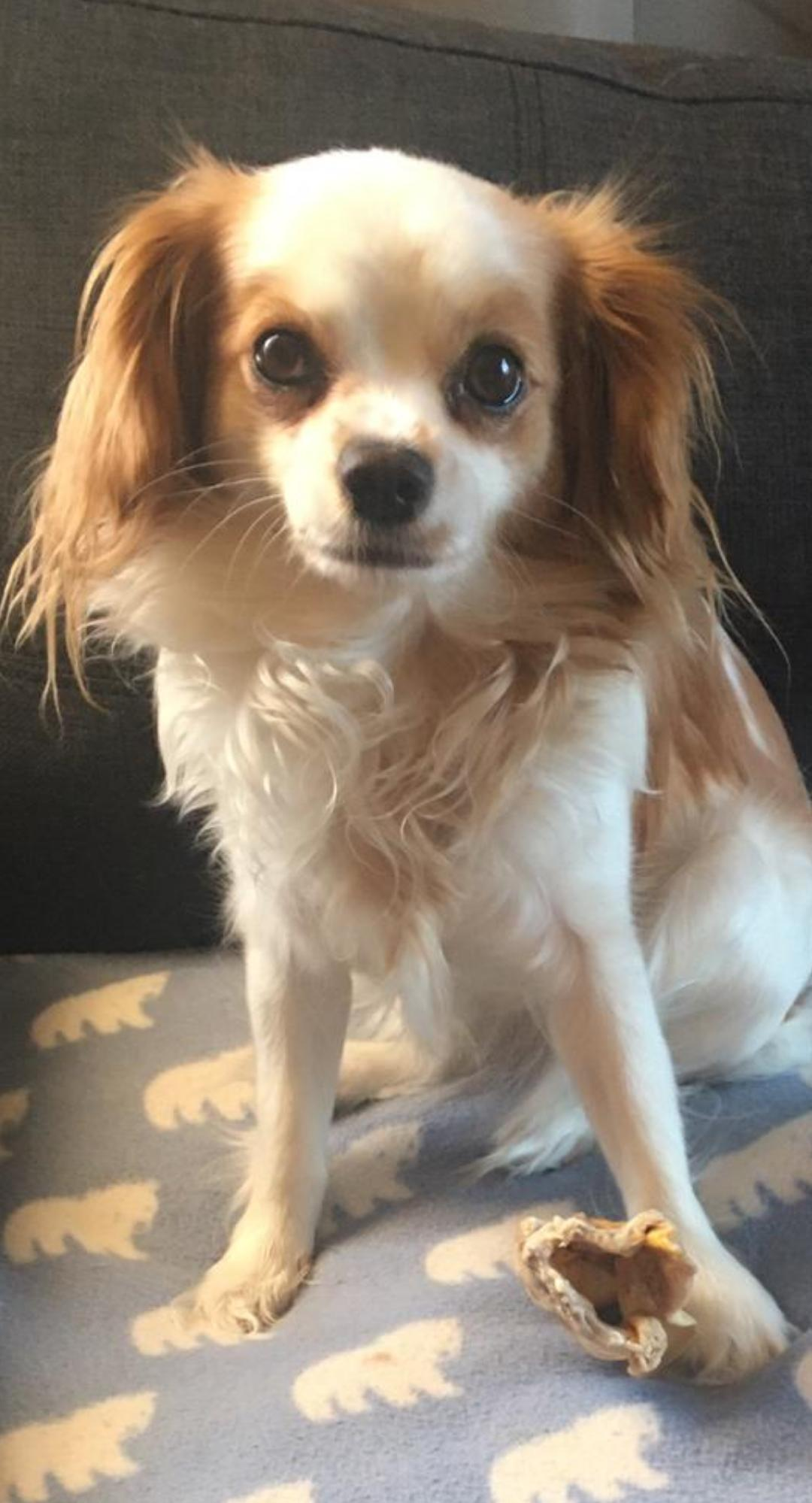 user avatar image for William 