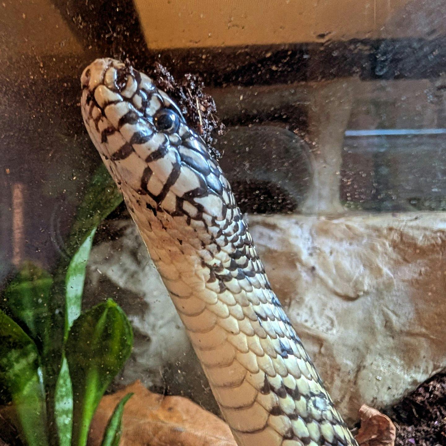 user avatar image for Emily