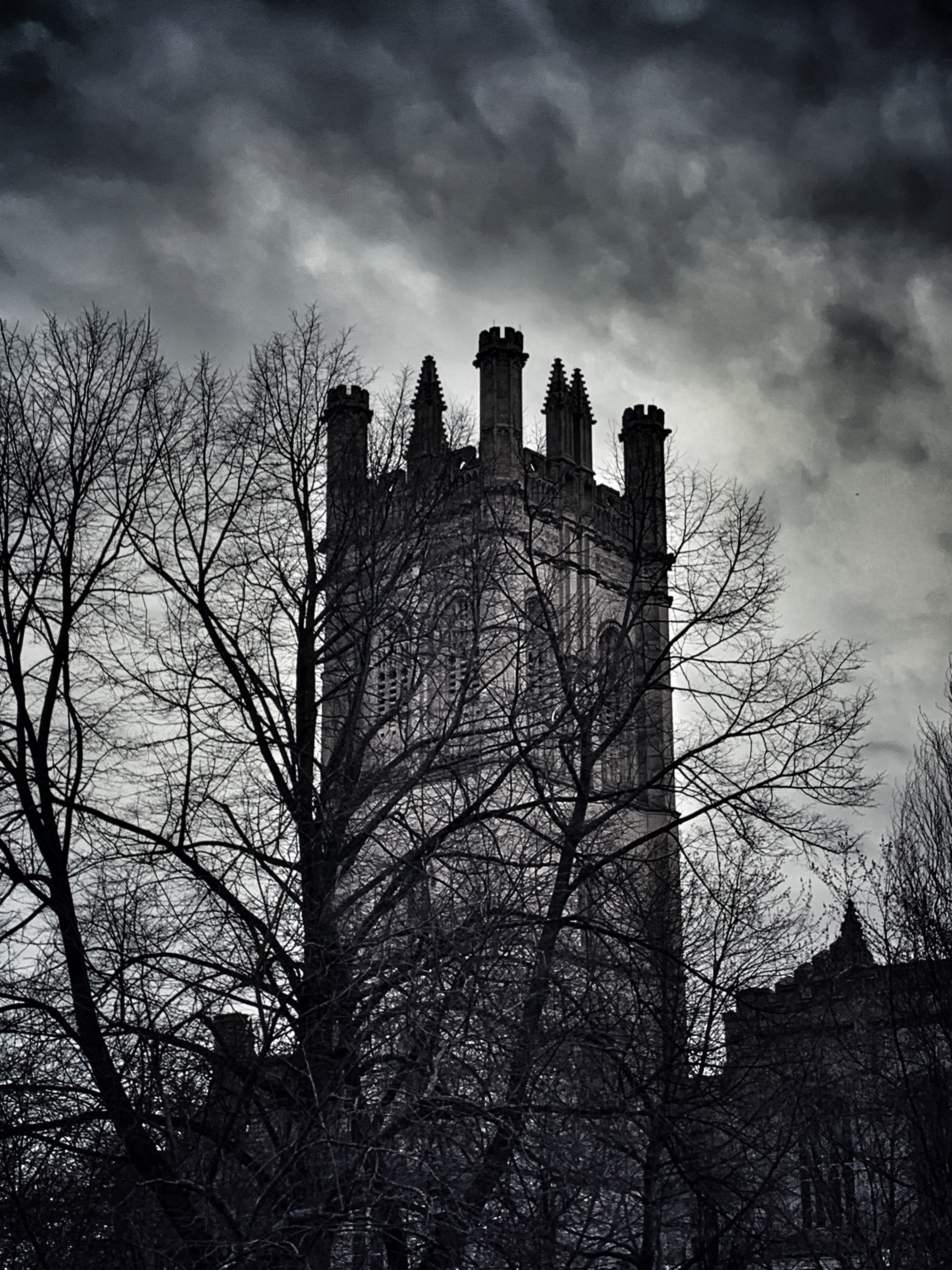 user avatar image for Jason