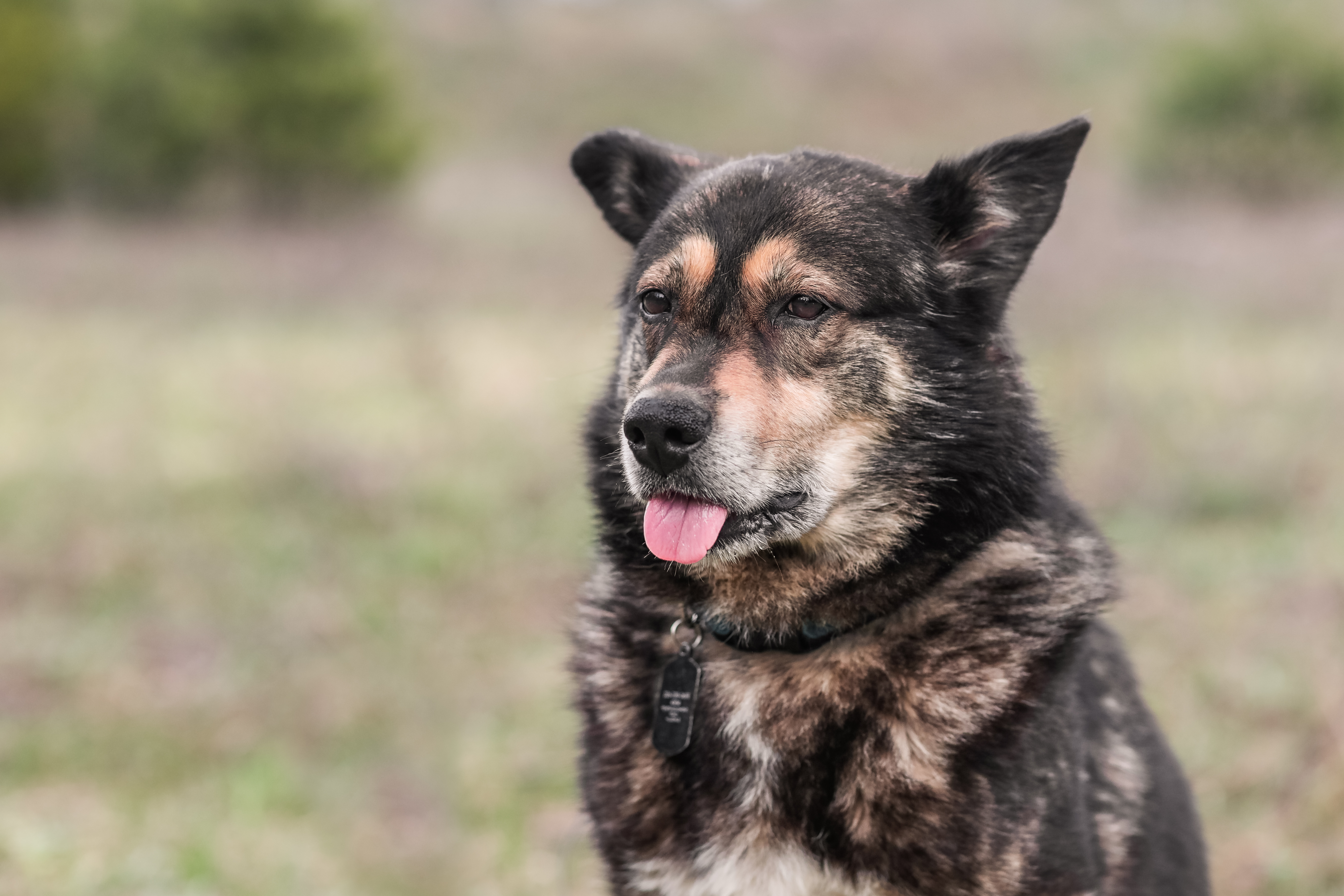 user avatar image for Matthew Ball