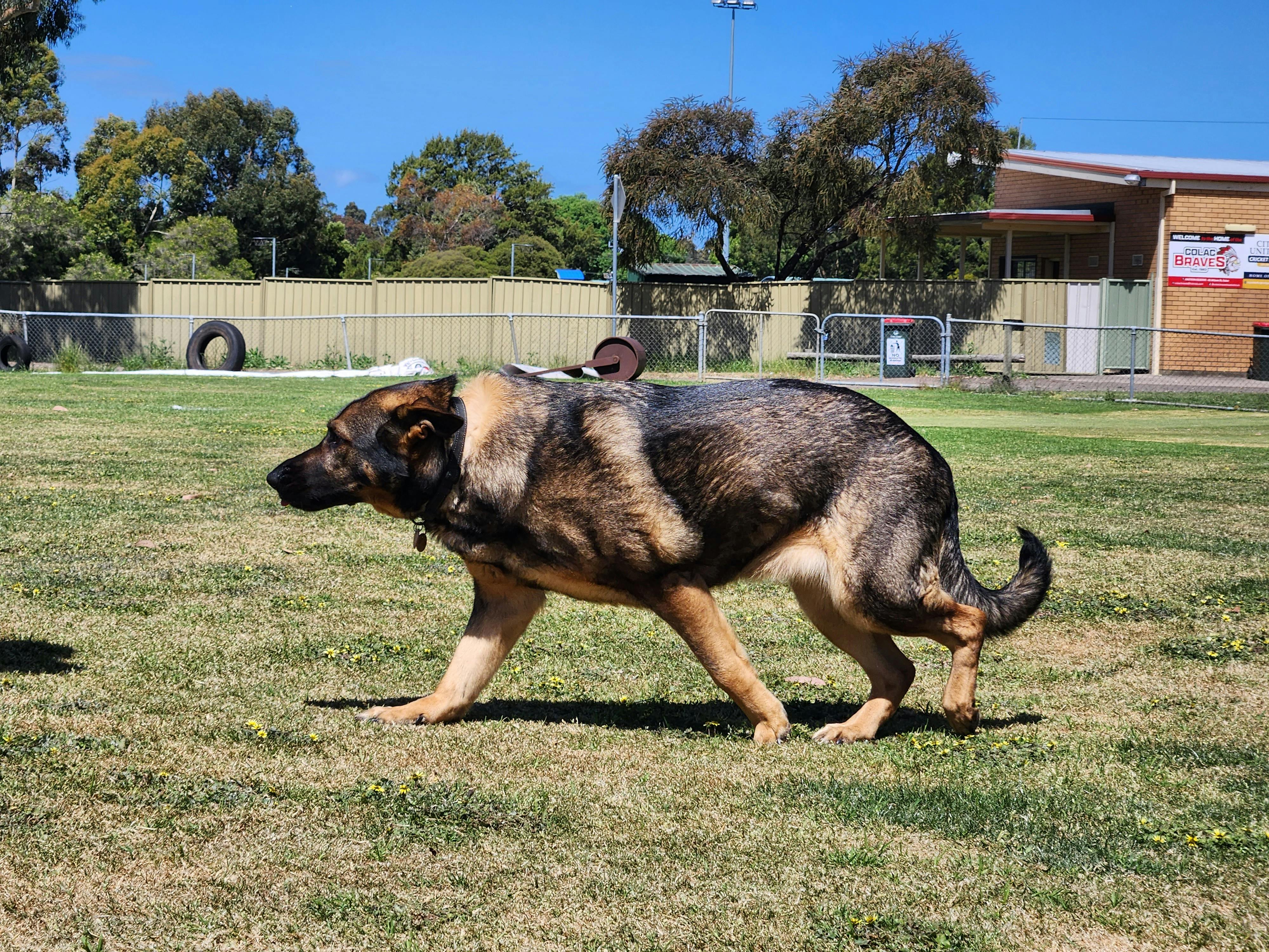 user avatar image for Duncan Wilcox 