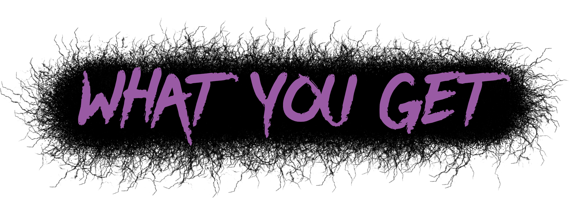 What You Get header.