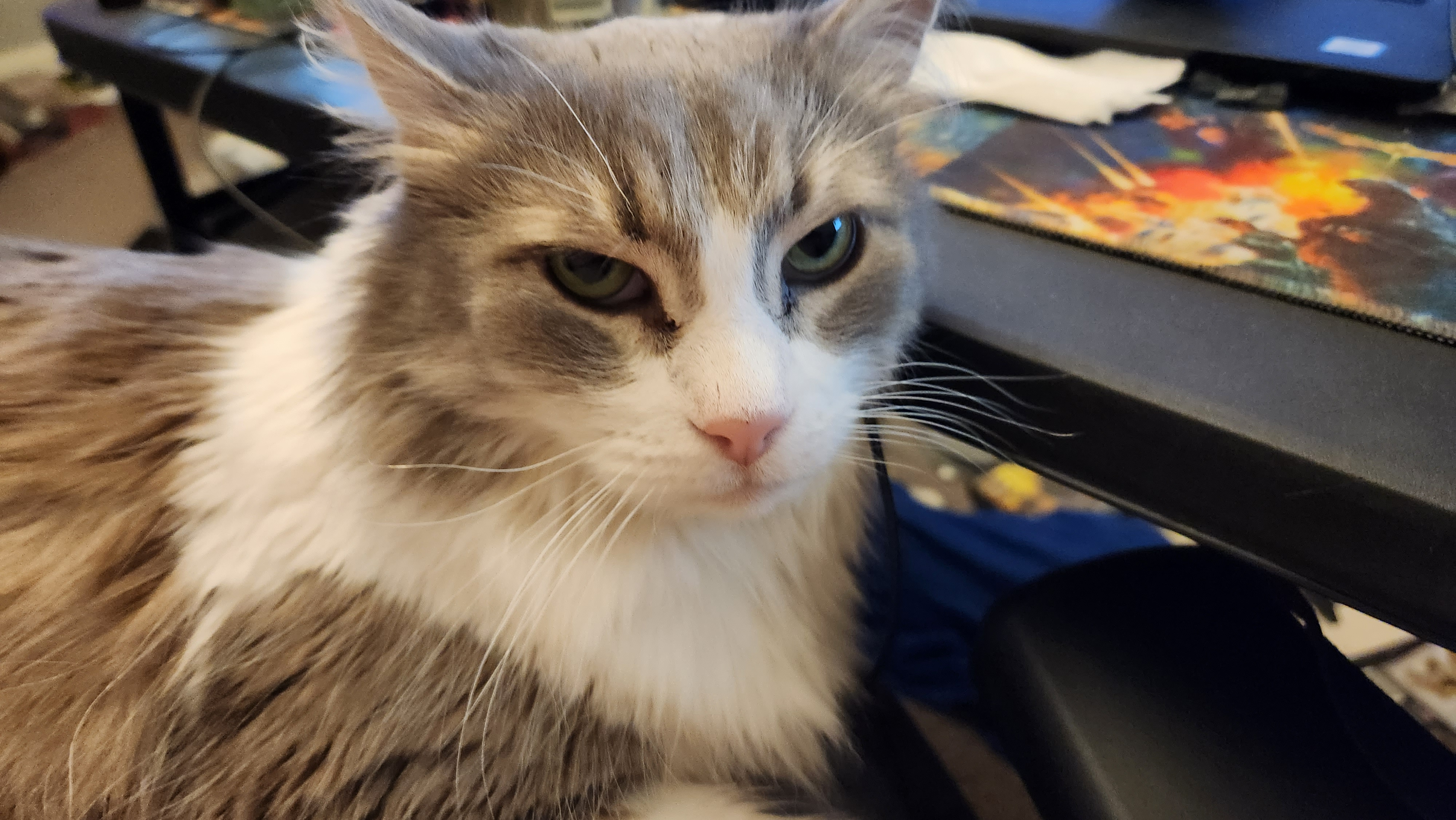 user avatar image for Korohval