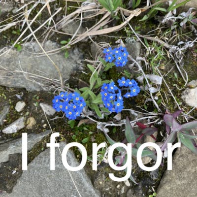 user avatar image for Fels