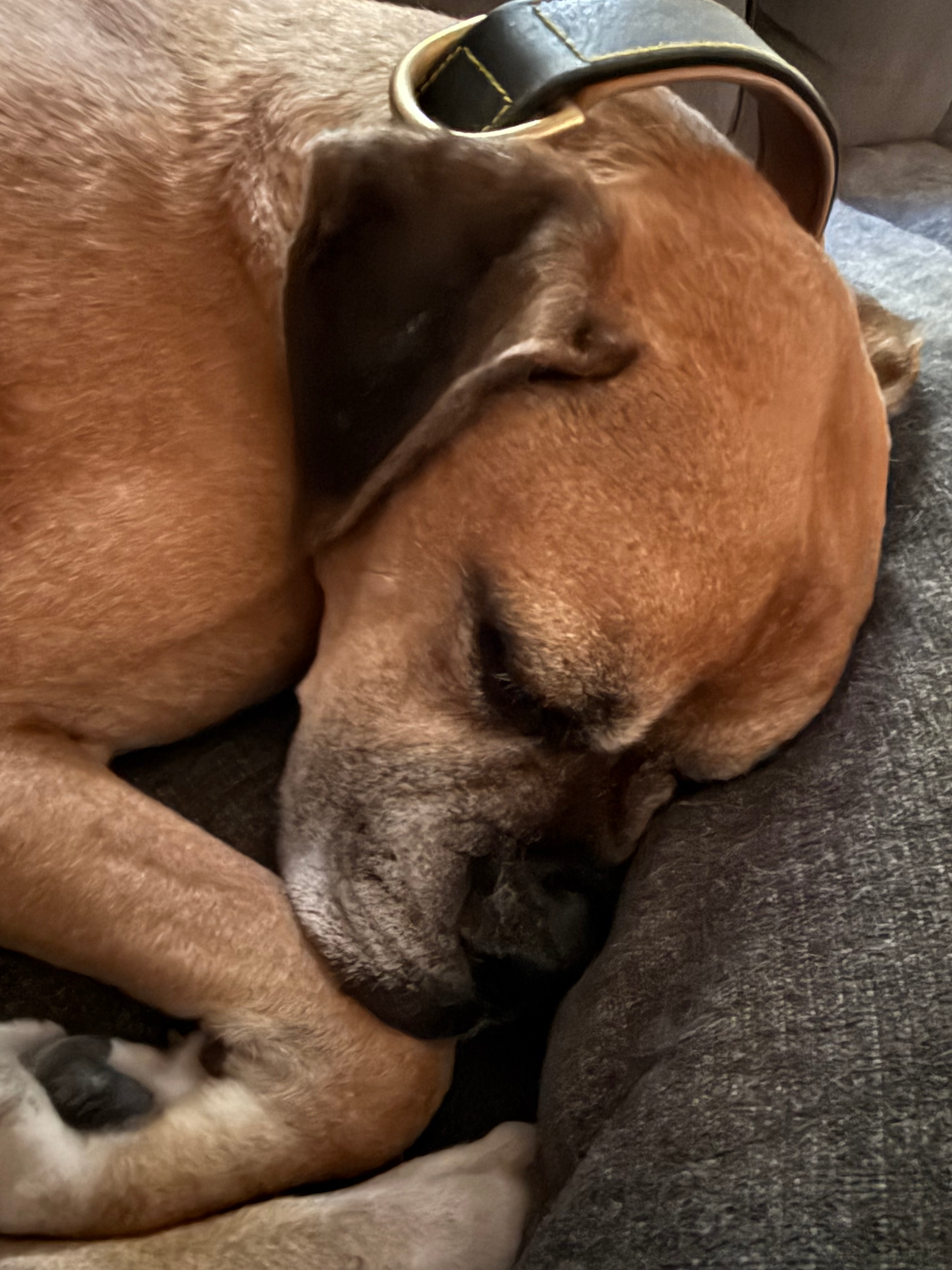 user avatar image for Johnna