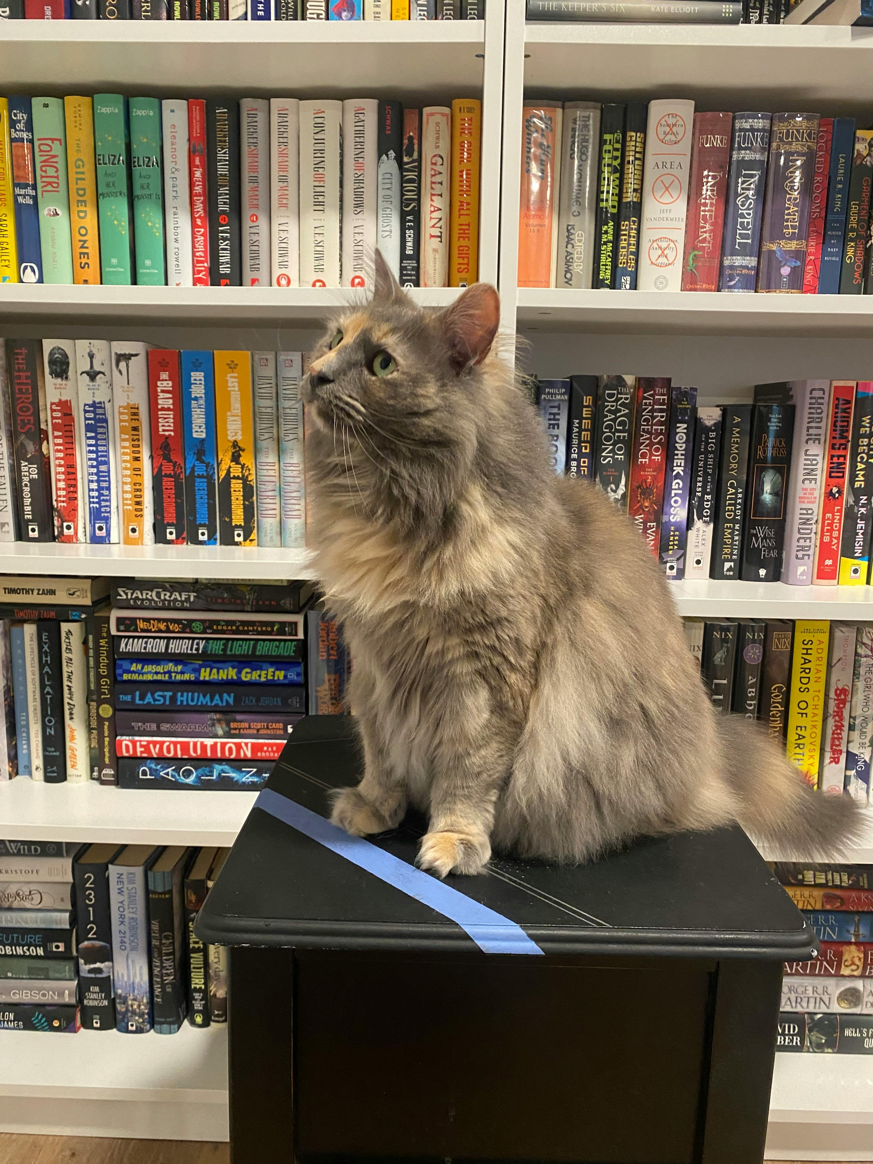 user avatar image for Brian