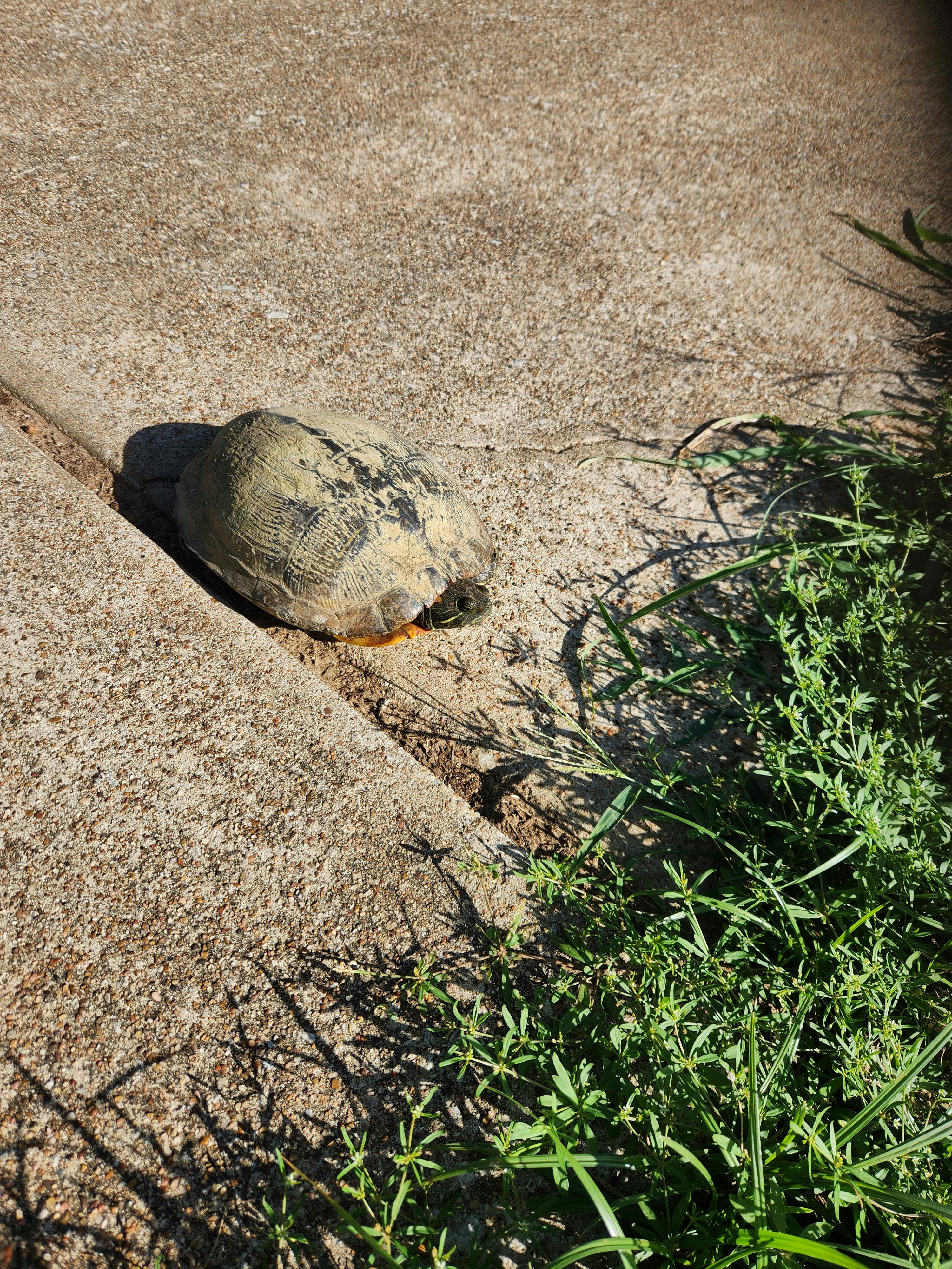 user avatar image for E Rae Davis