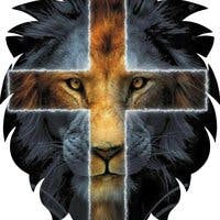 user avatar image for Tim Paul