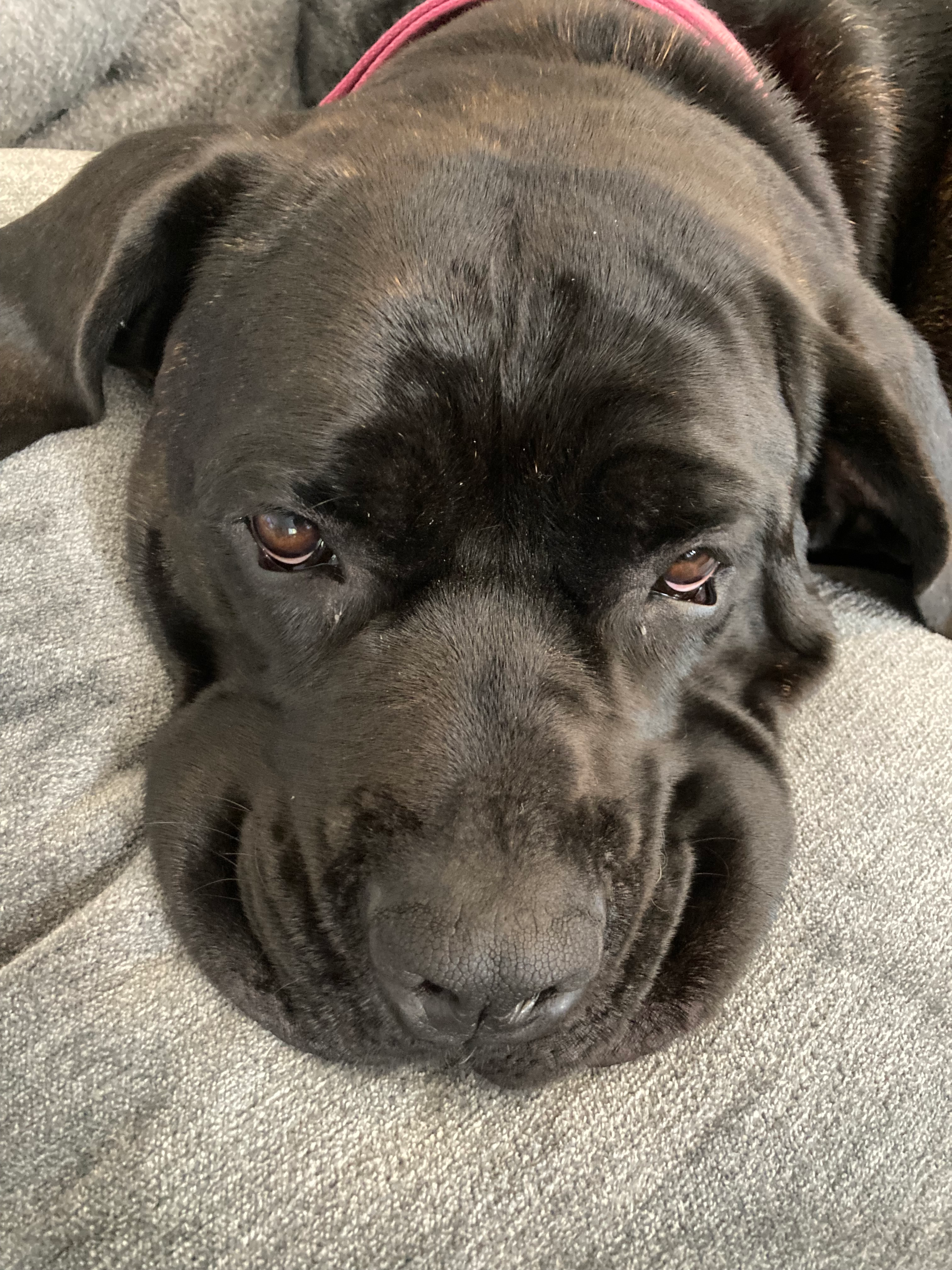 user avatar image for Parker