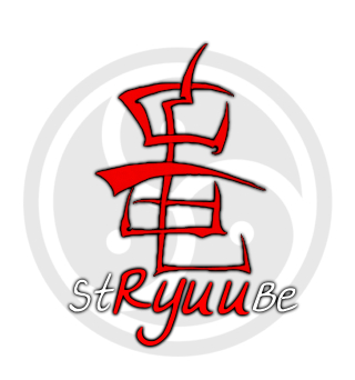 user avatar image for StRyuuBe