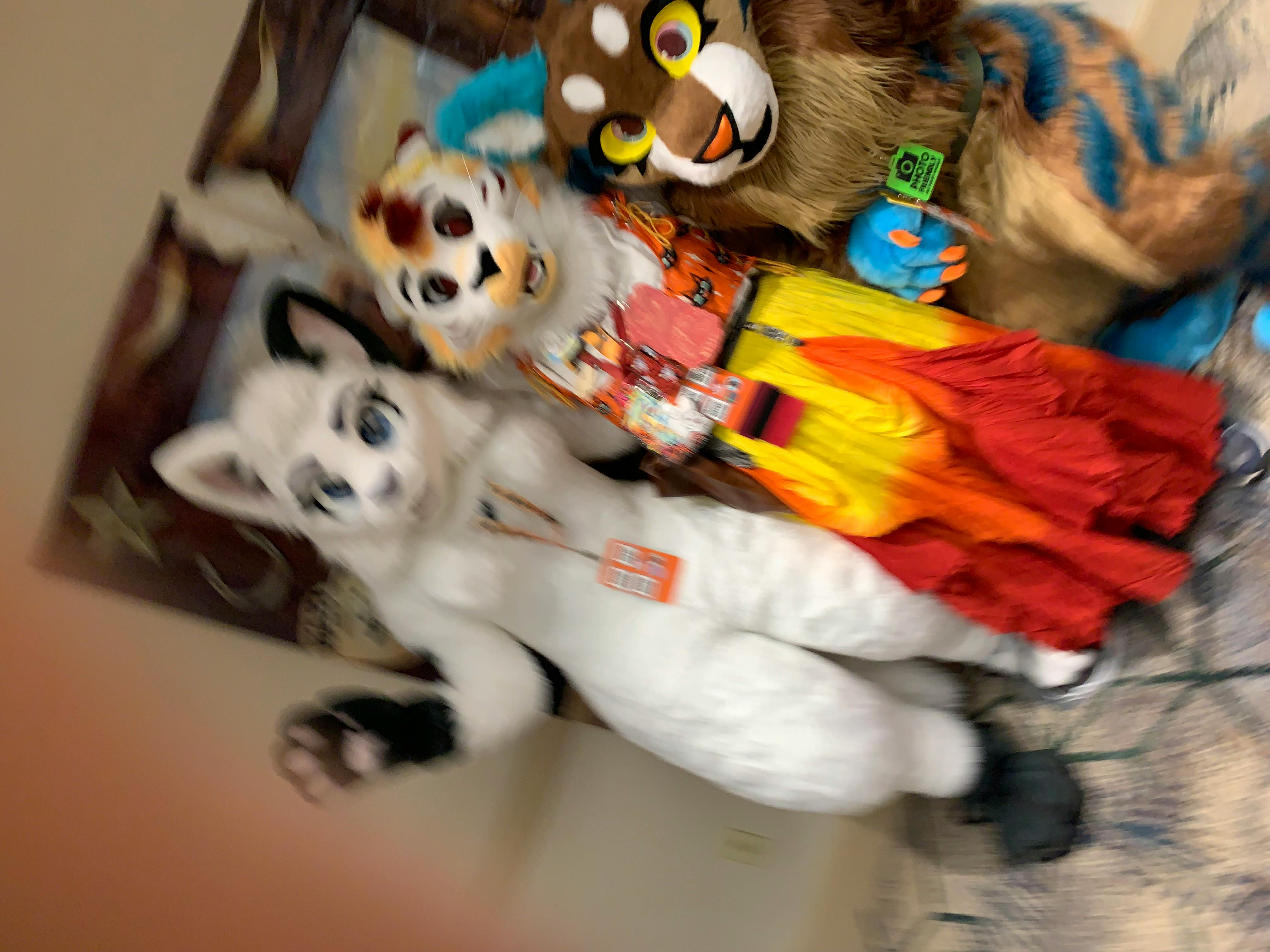 user avatar image for Dymphnacabbit