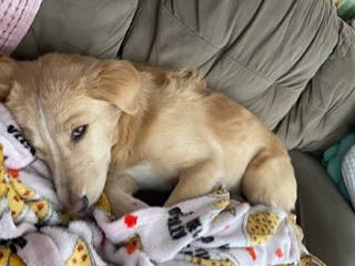 user avatar image for Crzybt1